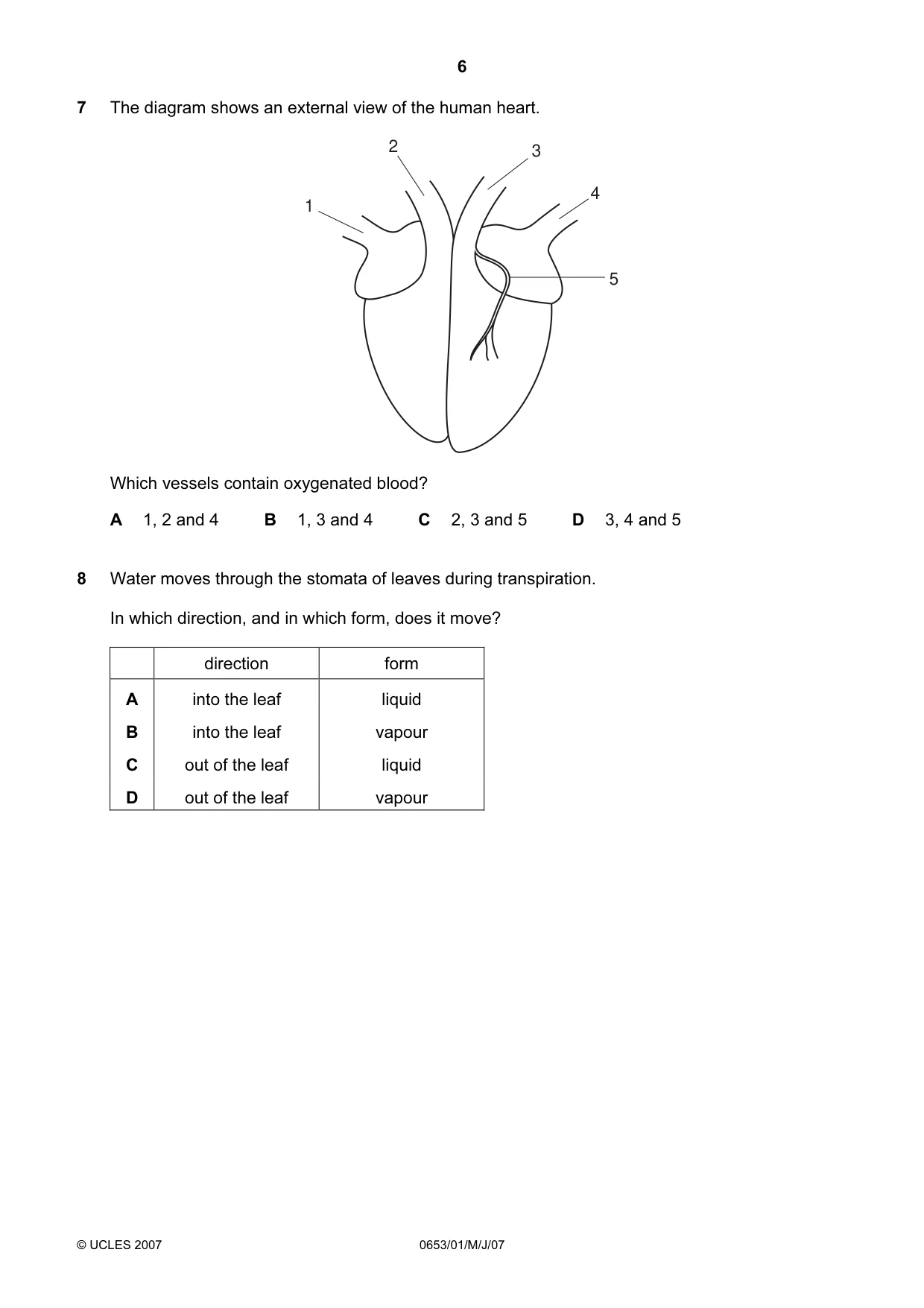 Cambridge IGCSE Science - Combined 0653 2007 May/June Paper 1 · Variant 1 question paper, page 6 of 20