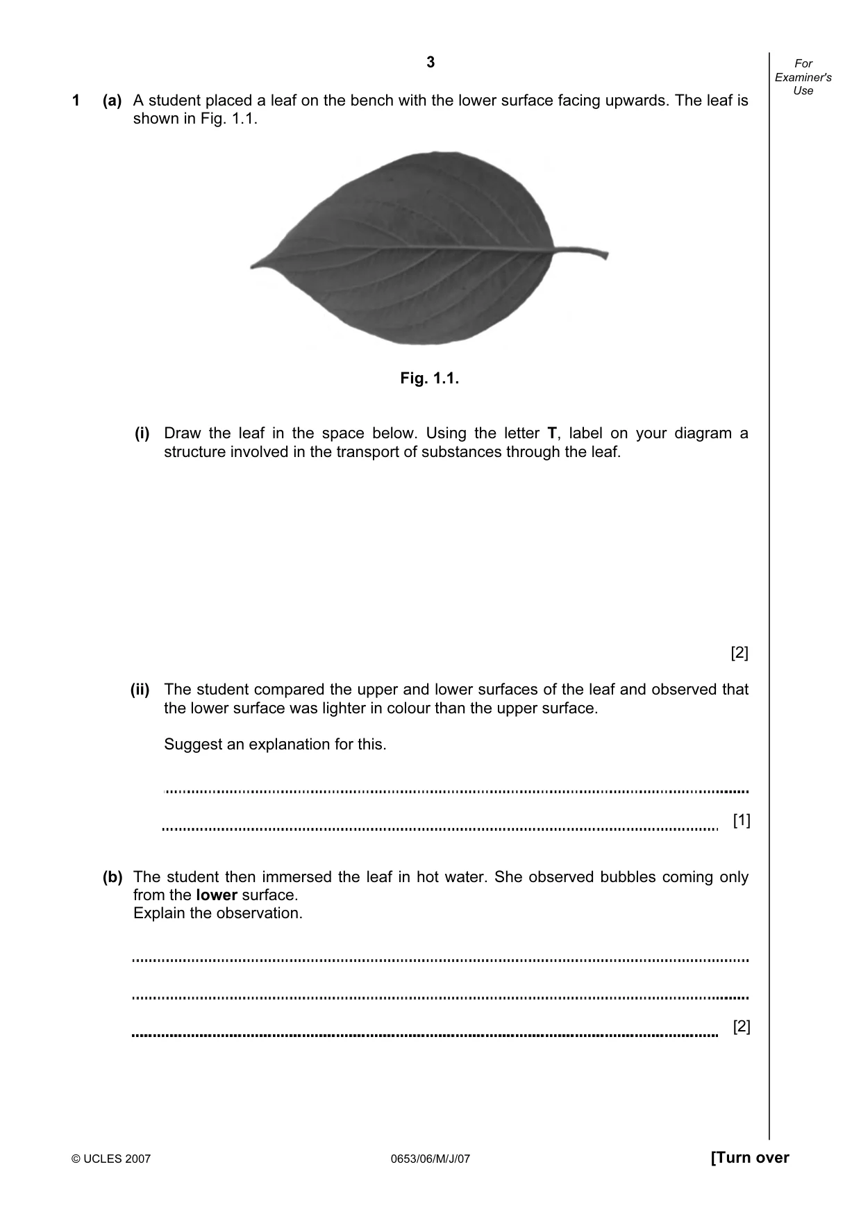 Cambridge IGCSE Science - Combined 0653 2007 May/June Paper 6 · Variant 1 question paper, page 3 of 20