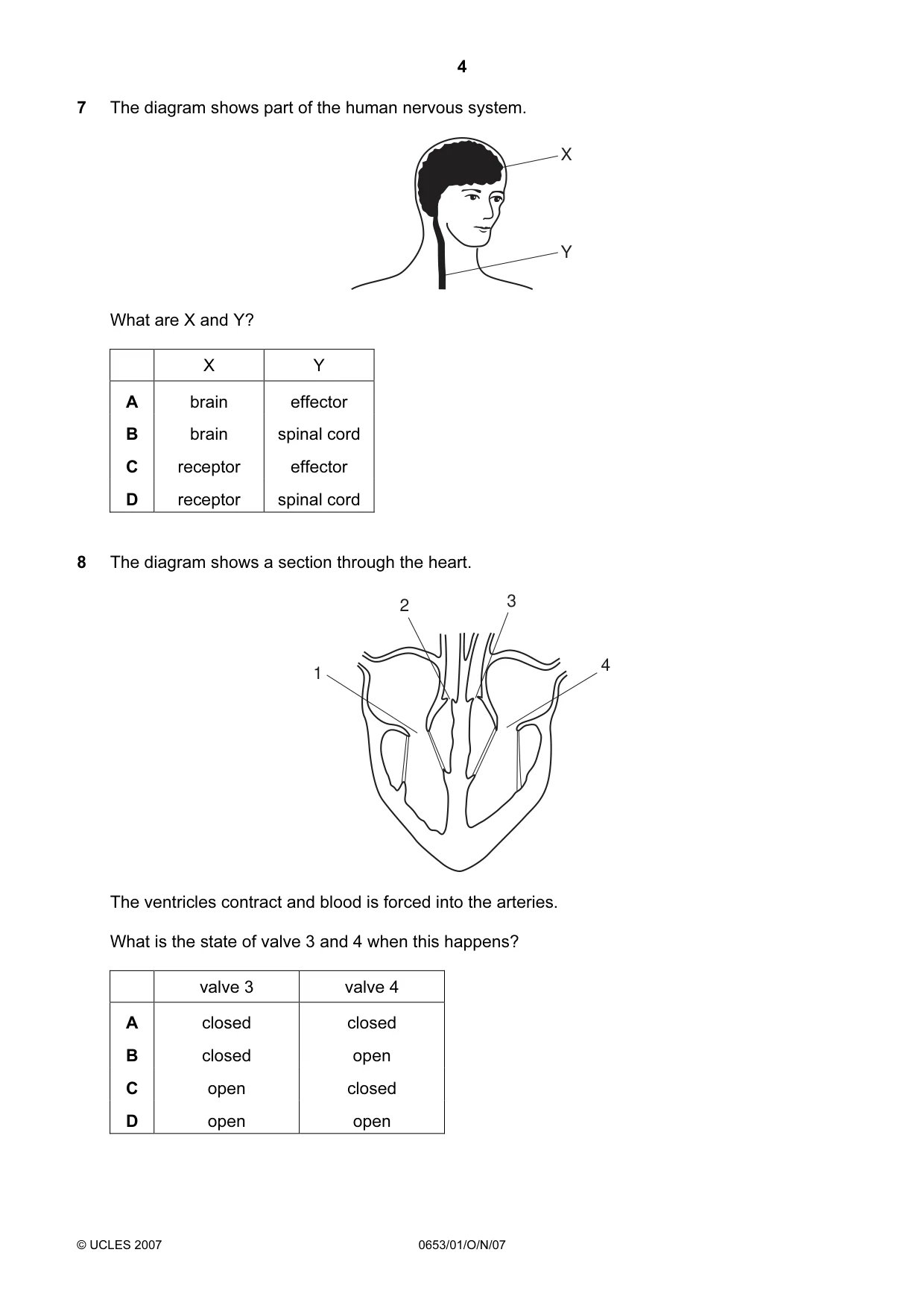Cambridge IGCSE Science - Combined 0653 2007 Oct/Nov Paper 1 · Variant 1 question paper, page 4 of 16