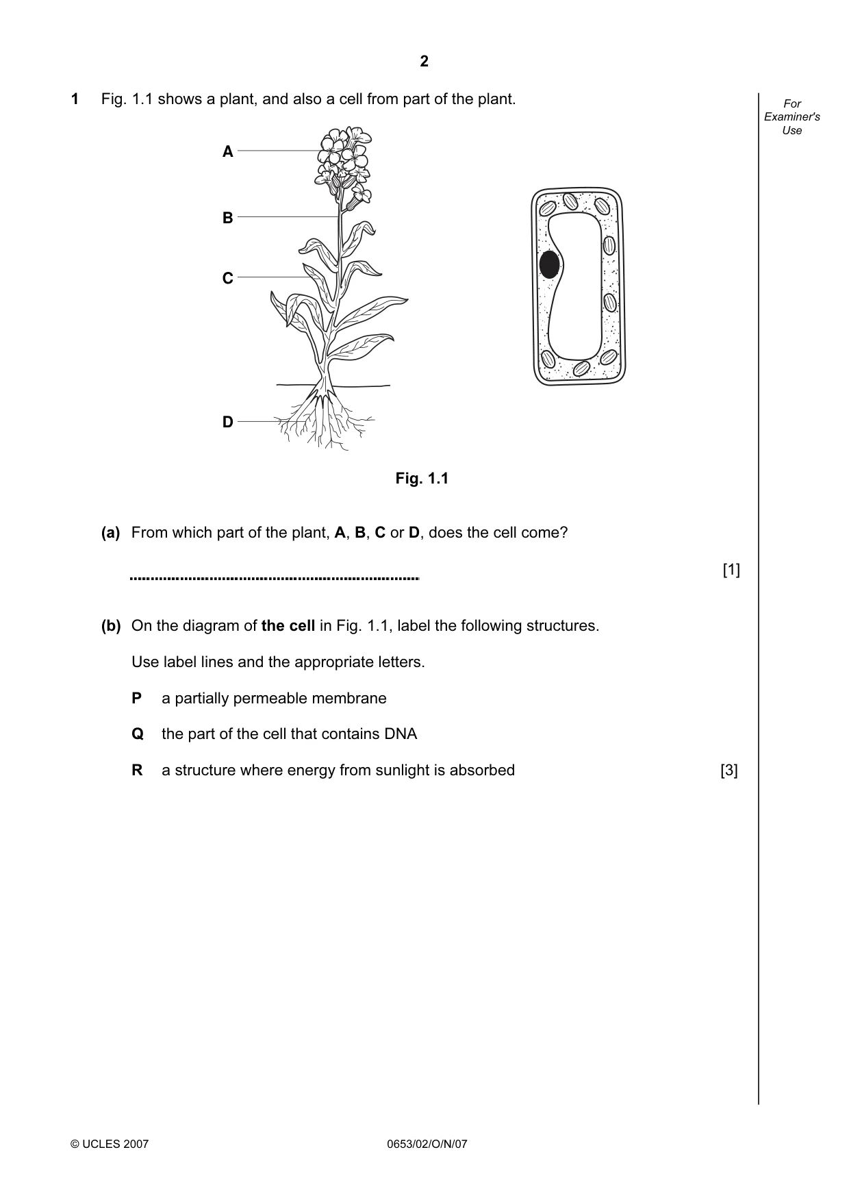 Cambridge IGCSE Science - Combined 0653 2007 Oct/Nov Paper 2 · Variant 1 question paper, page 2 of 20