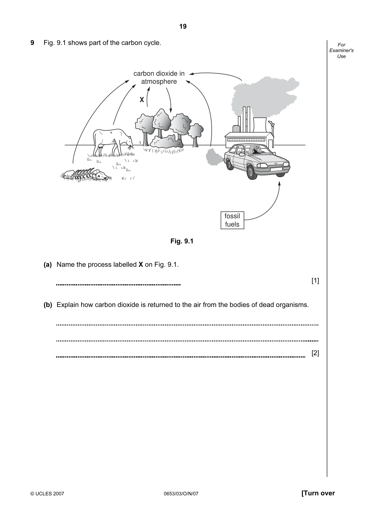 Cambridge IGCSE Science - Combined 0653 2007 Oct/Nov Paper 3 · Variant 1 question paper, page 19 of 24
