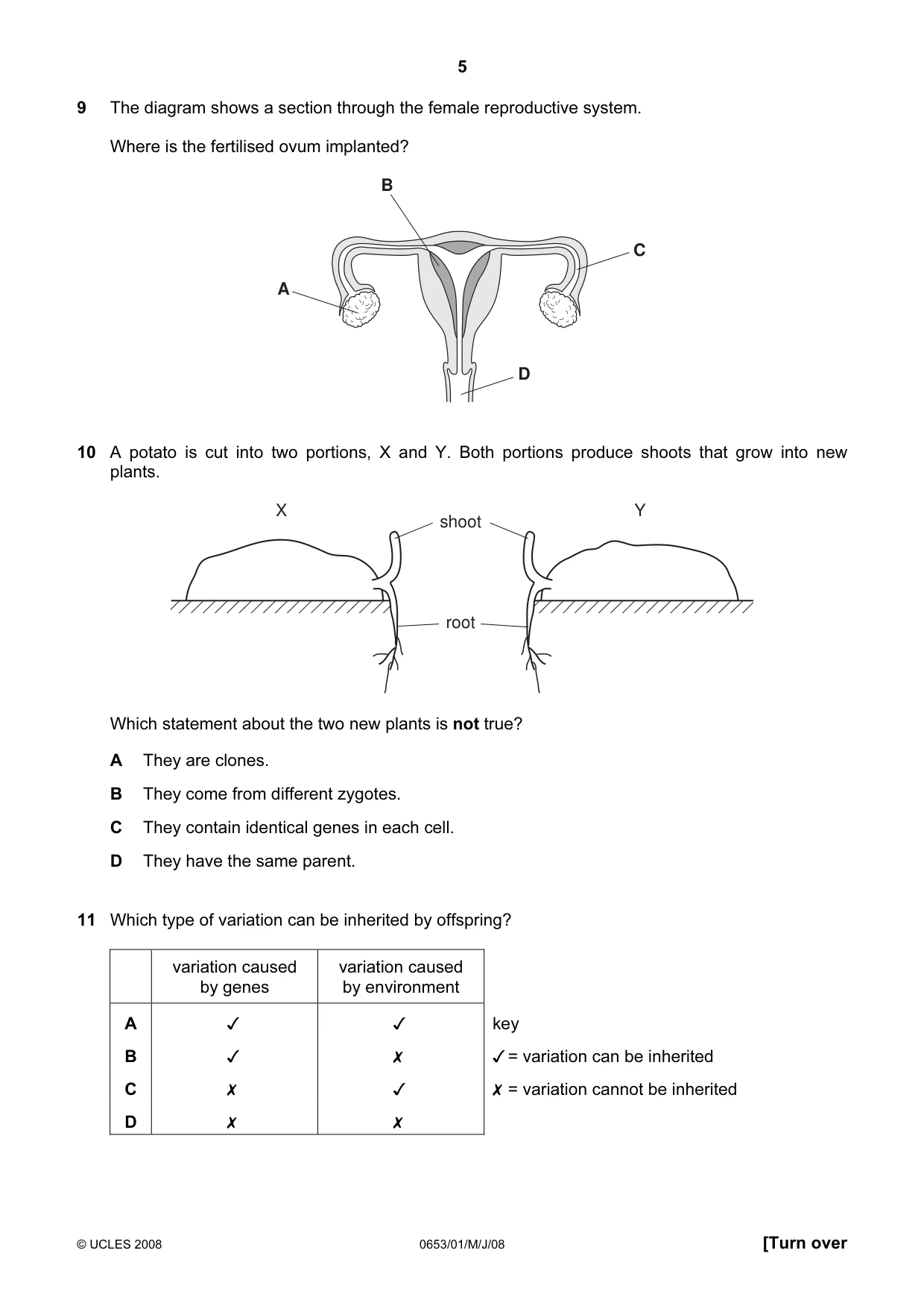Cambridge IGCSE Science - Combined 0653 2008 May/June Paper 1 · Variant 1 question paper, page 5 of 20
