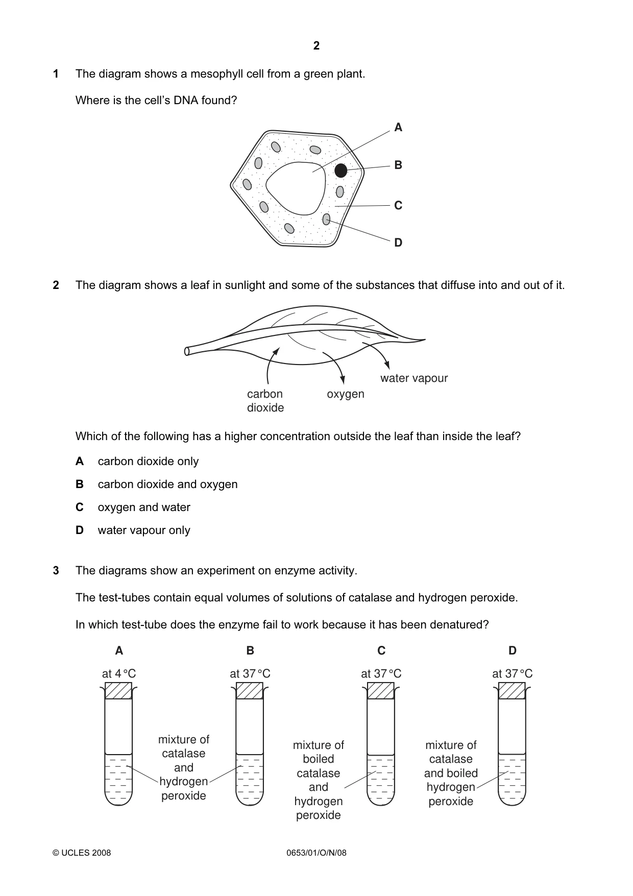 Cambridge IGCSE Science - Combined 0653 2008 Oct/Nov Paper 1 · Variant 1 question paper, page 2 of 20