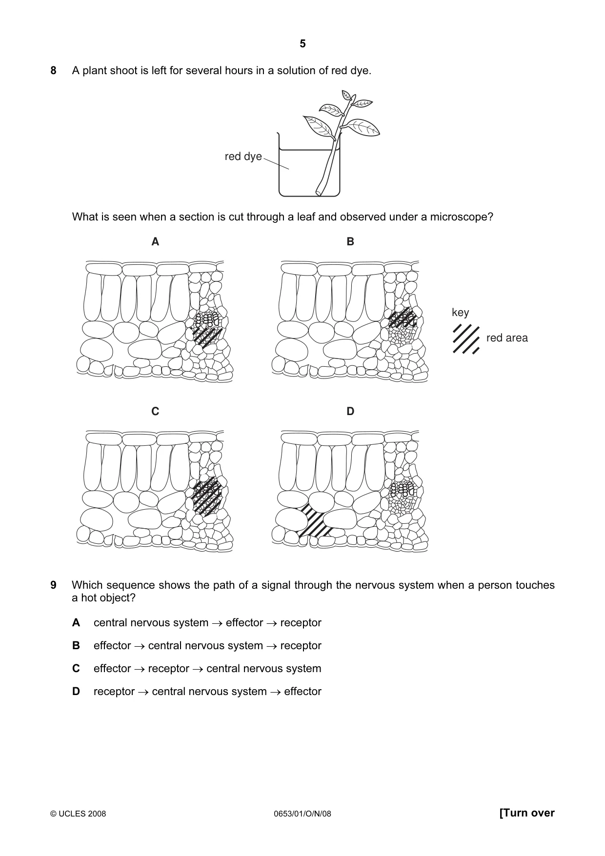 Cambridge IGCSE Science - Combined 0653 2008 Oct/Nov Paper 1 · Variant 1 question paper, page 5 of 20