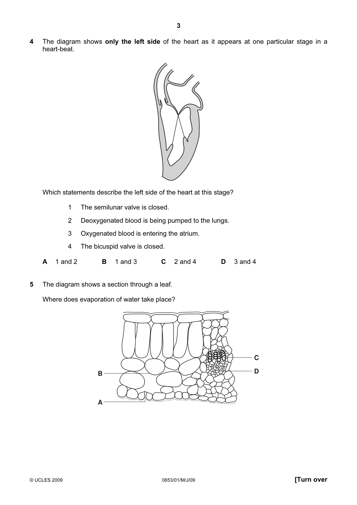 Cambridge IGCSE Science - Combined 0653 2009 May/June Paper 1 · Variant 1 question paper, page 3 of 20
