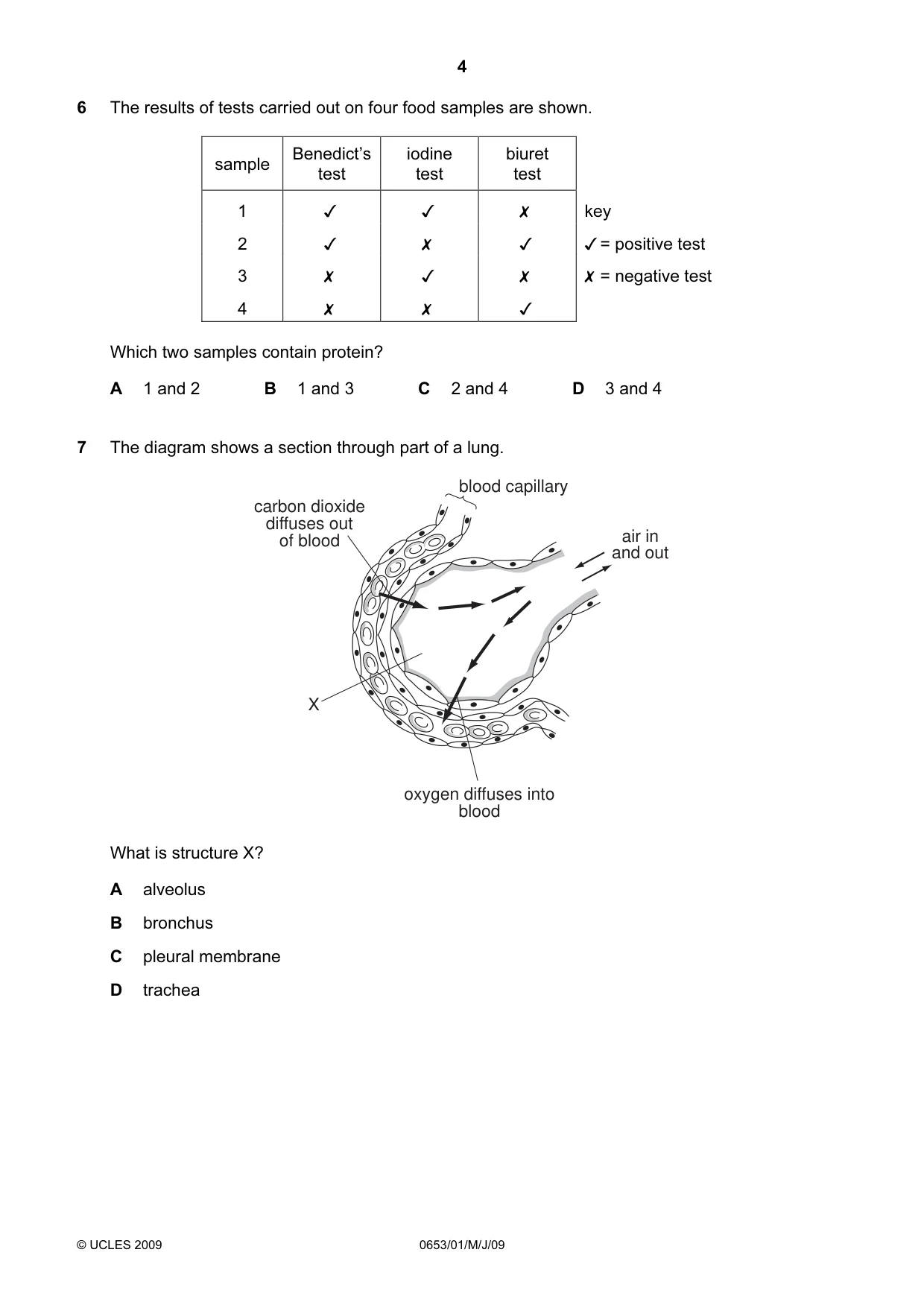 Cambridge IGCSE Science - Combined 0653 2009 May/June Paper 1 · Variant 1 question paper, page 4 of 20