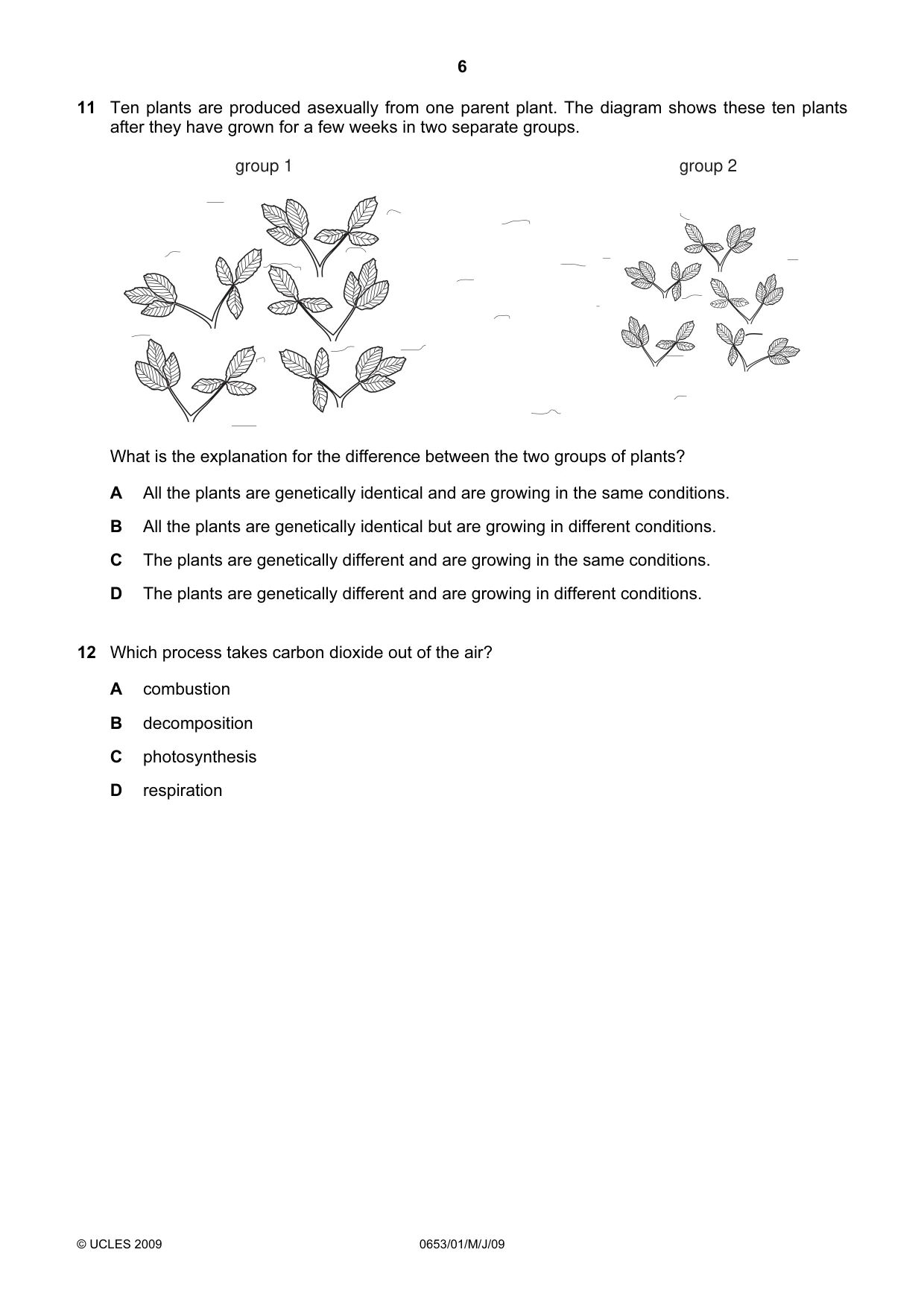 Cambridge IGCSE Science - Combined 0653 2009 May/June Paper 1 · Variant 1 question paper, page 6 of 20