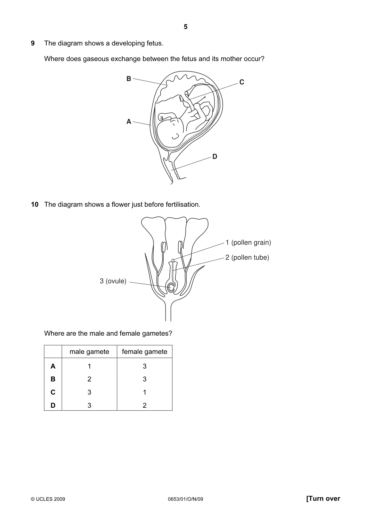 Cambridge IGCSE Science - Combined 0653 2009 Oct/Nov Paper 1 · Variant 1 question paper, page 5 of 20