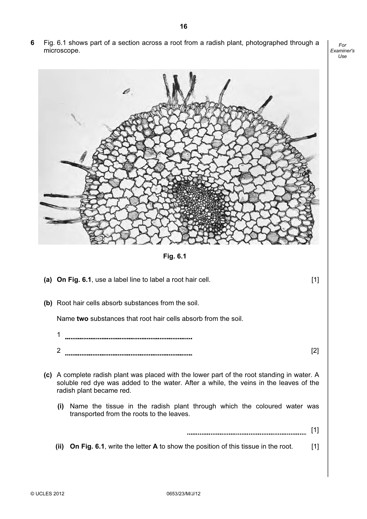 Cambridge IGCSE Science - Combined 0653 2012 May/June Paper 2 · Variant 3 question paper, page 16 of 24