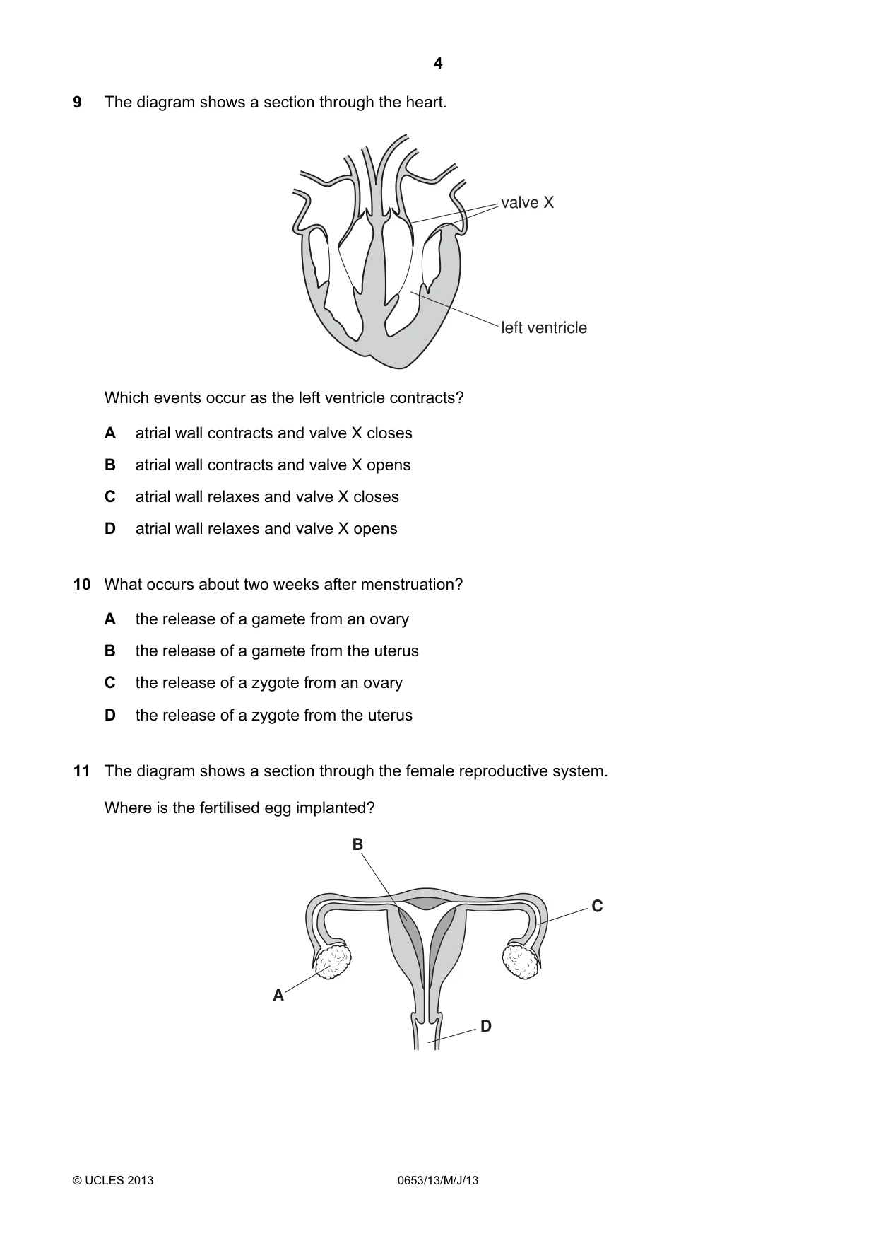 Cambridge IGCSE Science - Combined 0653 2013 May/June Paper 1 · Variant 3 question paper, page 4 of 20