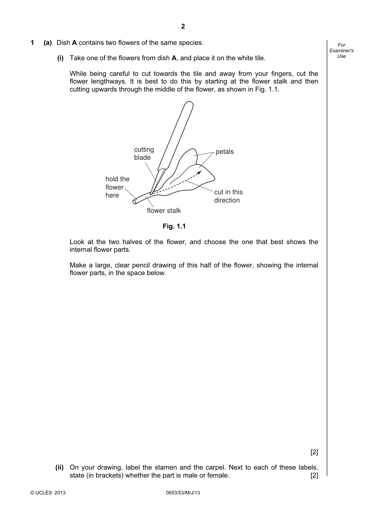 Cambridge IGCSE Science - Combined 0653 2013 May/June Paper 5 · Variant 3 question paper, page 2 of 16