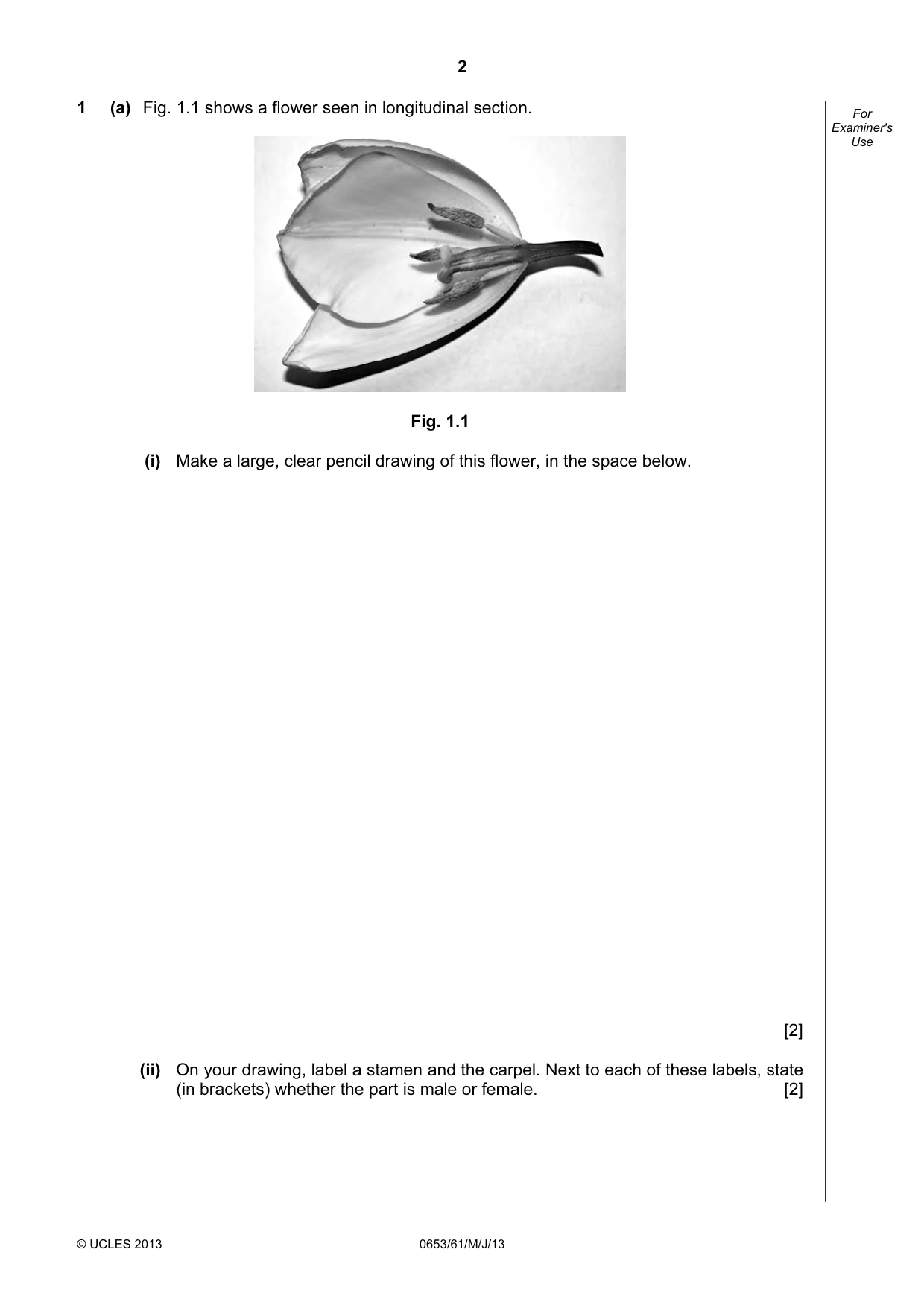Cambridge IGCSE Science - Combined 0653 2013 May/June Paper 6 · Variant 1 question paper, page 2 of 20