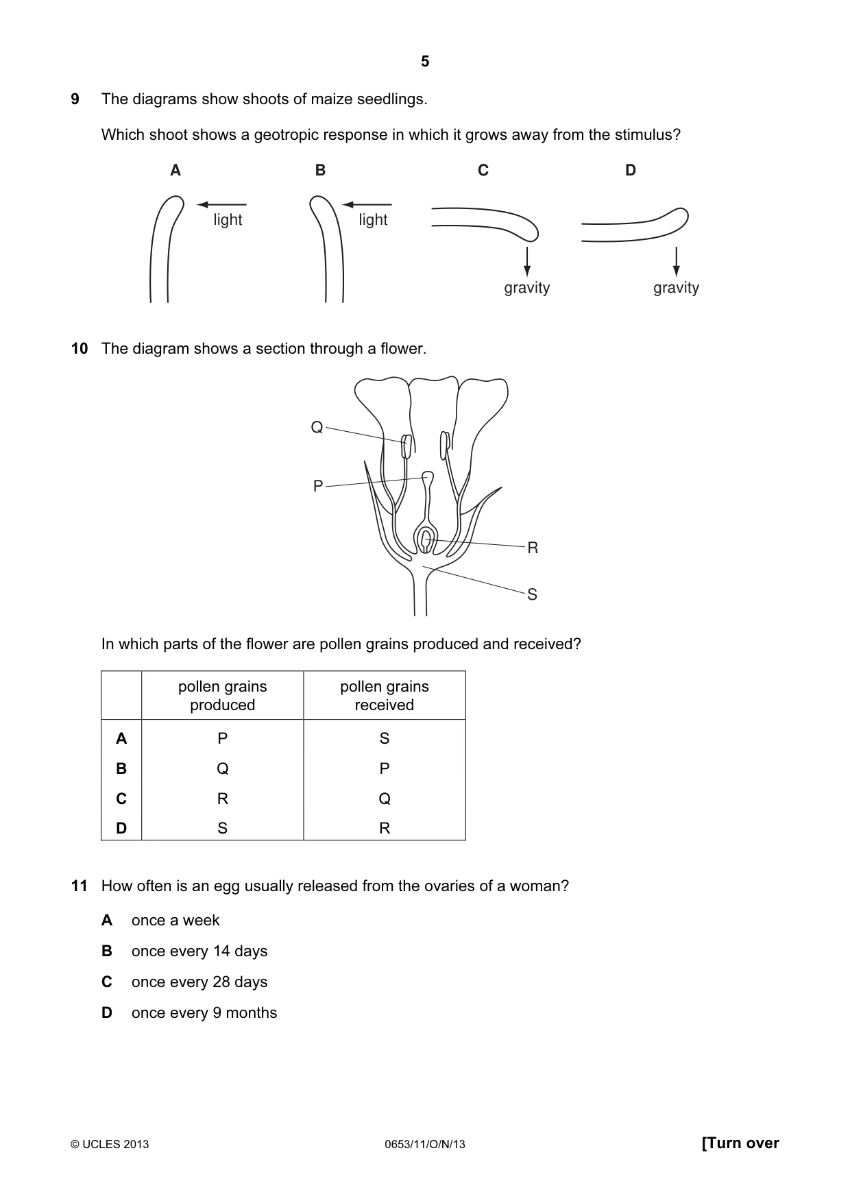 Cambridge IGCSE Science - Combined 0653 2013 Oct/Nov Paper 1 · Variant 1 question paper, page 5 of 20
