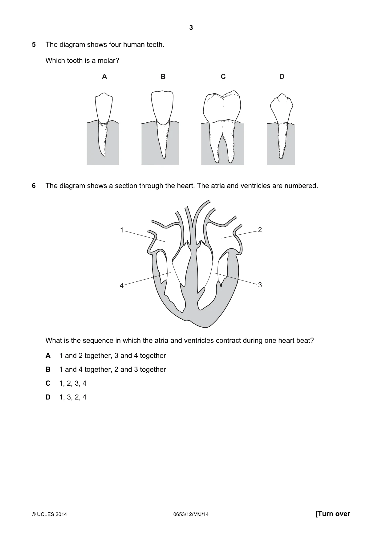 Cambridge IGCSE Science - Combined 0653 2014 May/June Paper 1 · Variant 2 question paper, page 3 of 20