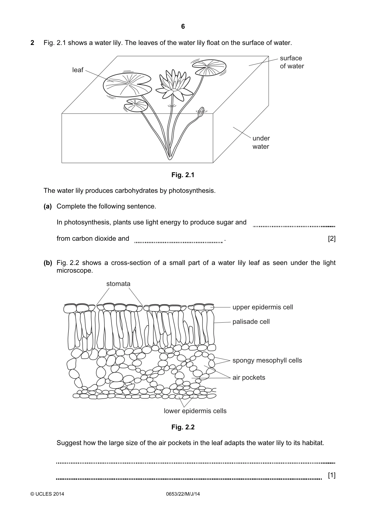 Cambridge IGCSE Science - Combined 0653 2014 May/June Paper 2 · Variant 2 question paper, page 6 of 28