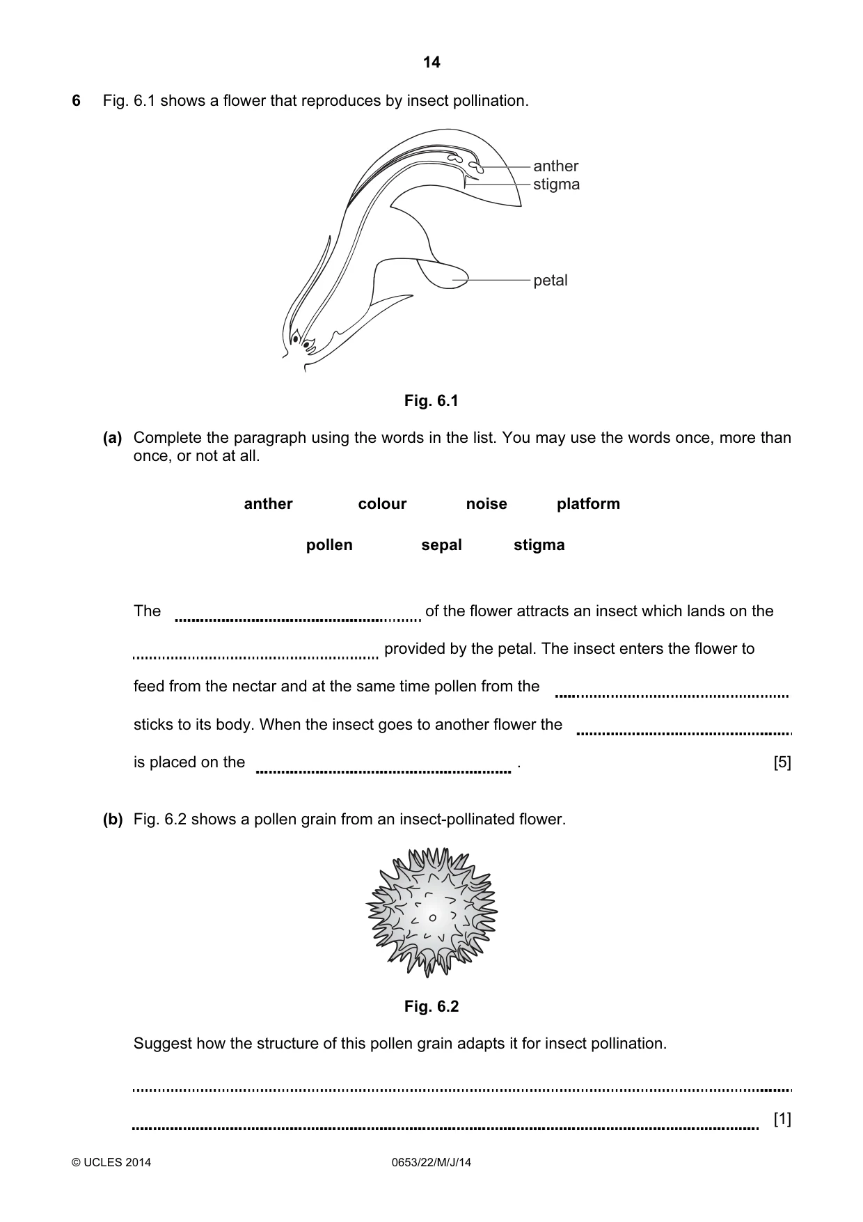 Cambridge IGCSE Science - Combined 0653 2014 May/June Paper 2 · Variant 2 question paper, page 14 of 28