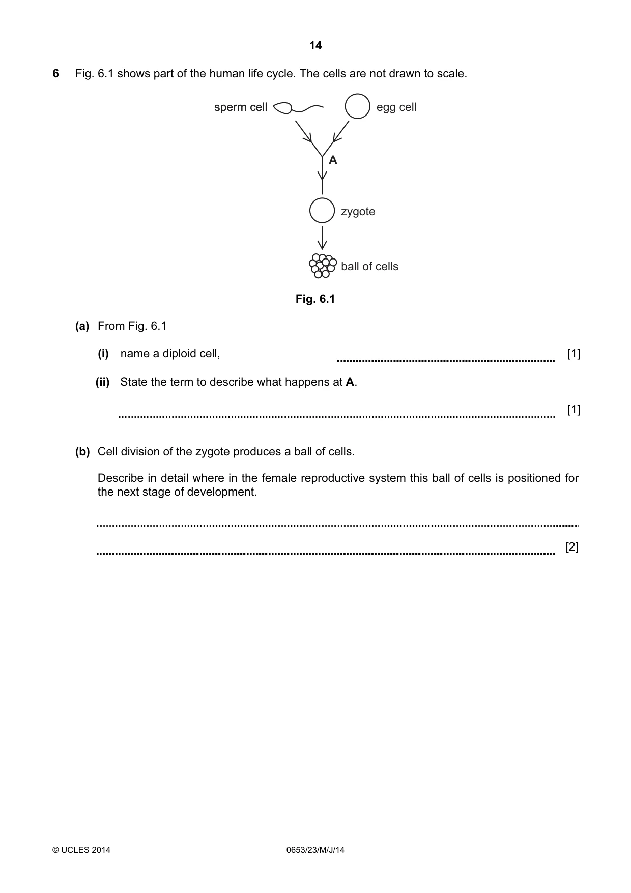 Cambridge IGCSE Science - Combined 0653 2014 May/June Paper 2 · Variant 3 question paper, page 14 of 24