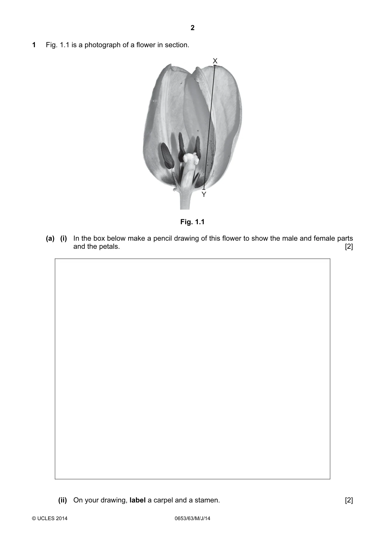 Cambridge IGCSE Science - Combined 0653 2014 May/June Paper 6 · Variant 3 question paper, page 2 of 20