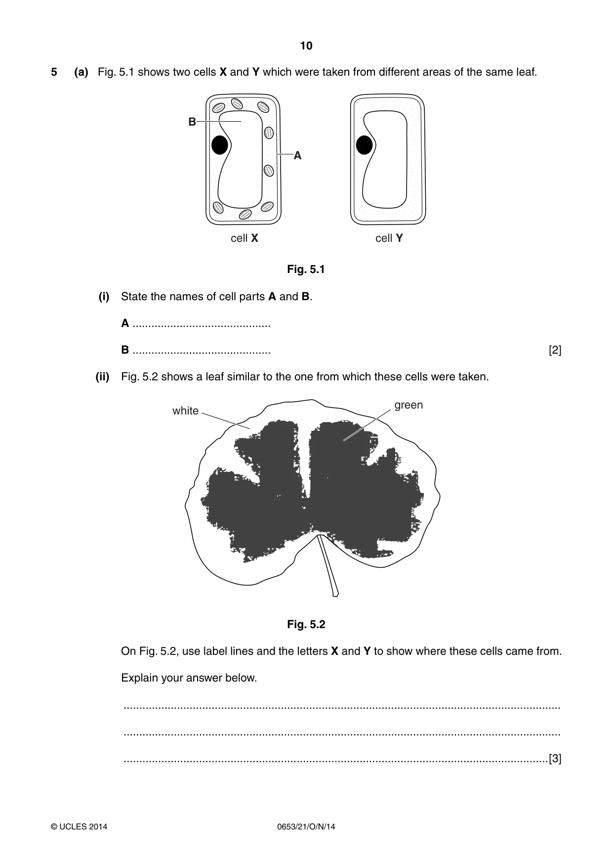 Cambridge IGCSE Science - Combined 0653 2014 Oct/Nov Paper 2 · Variant 1 question paper, page 10 of 20