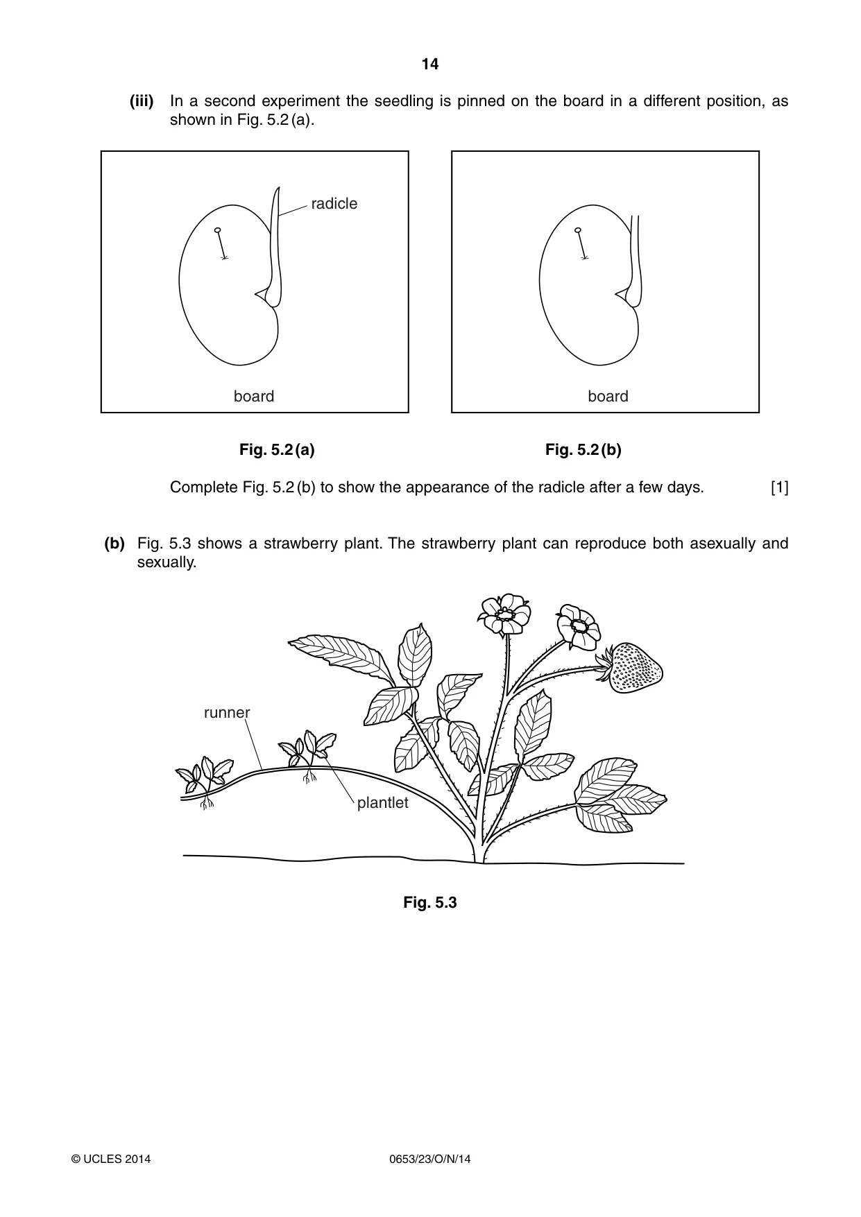 Cambridge IGCSE Science - Combined 0653 2014 Oct/Nov Paper 2 · Variant 3 question paper, page 14 of 24