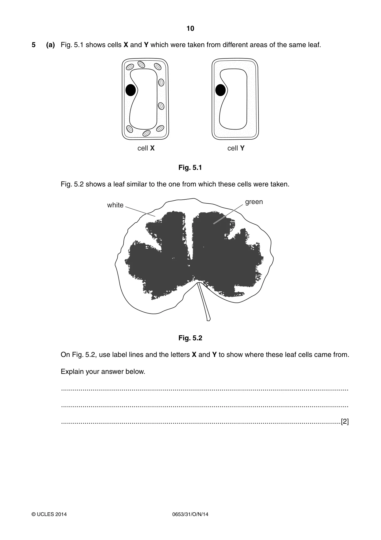 Cambridge IGCSE Science - Combined 0653 2014 Oct/Nov Paper 3 · Variant 1 question paper, page 10 of 24