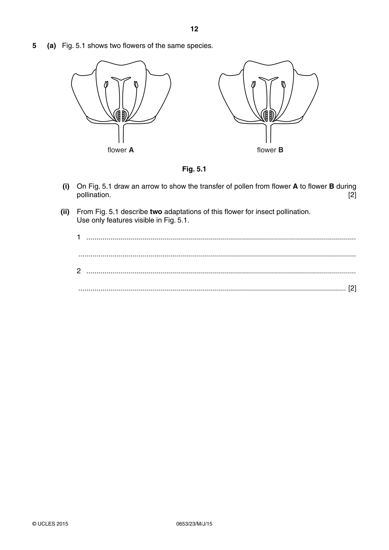Cambridge IGCSE Science - Combined 0653 2015 May/June Paper 2 · Variant 3 question paper, page 12 of 24