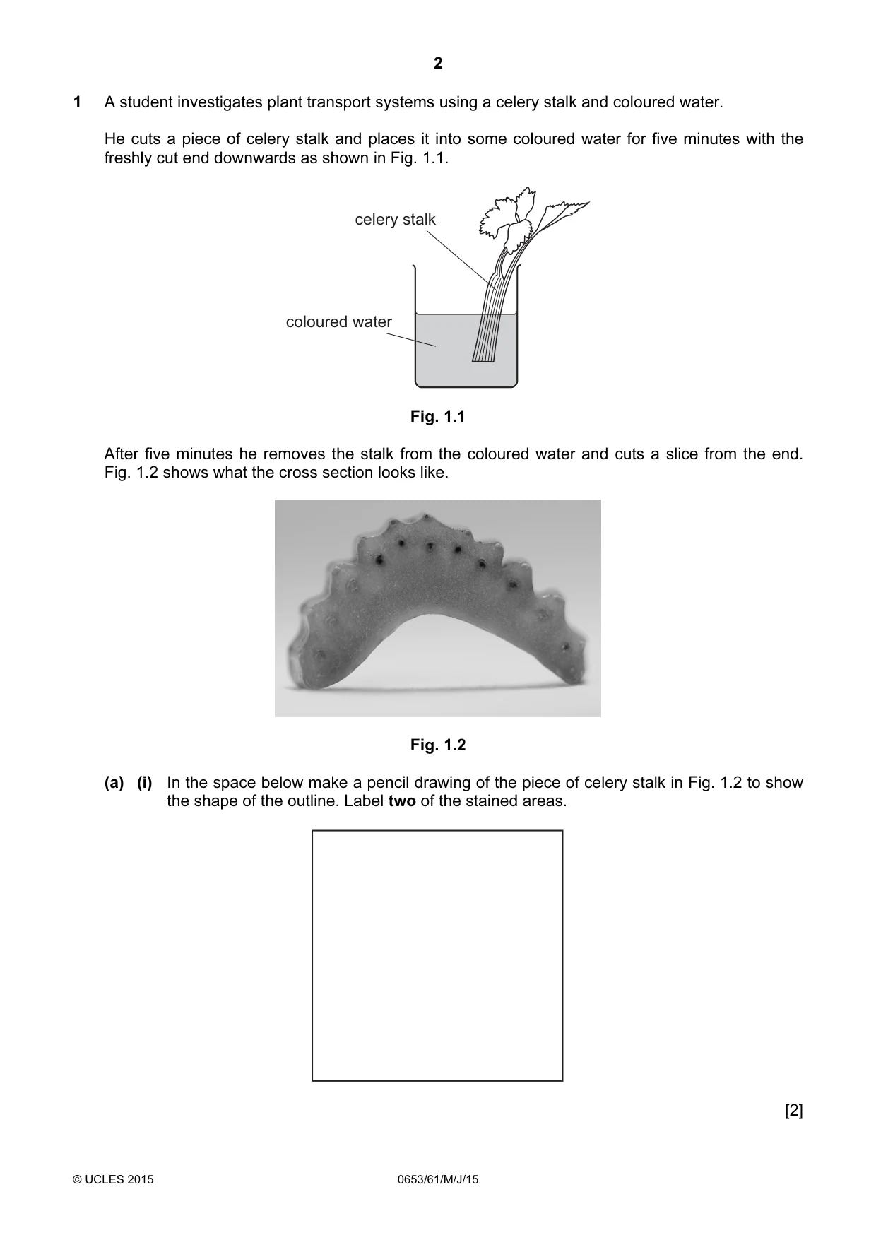 Cambridge IGCSE Science - Combined 0653 2015 May/June Paper 6 · Variant 1 question paper, page 2 of 16