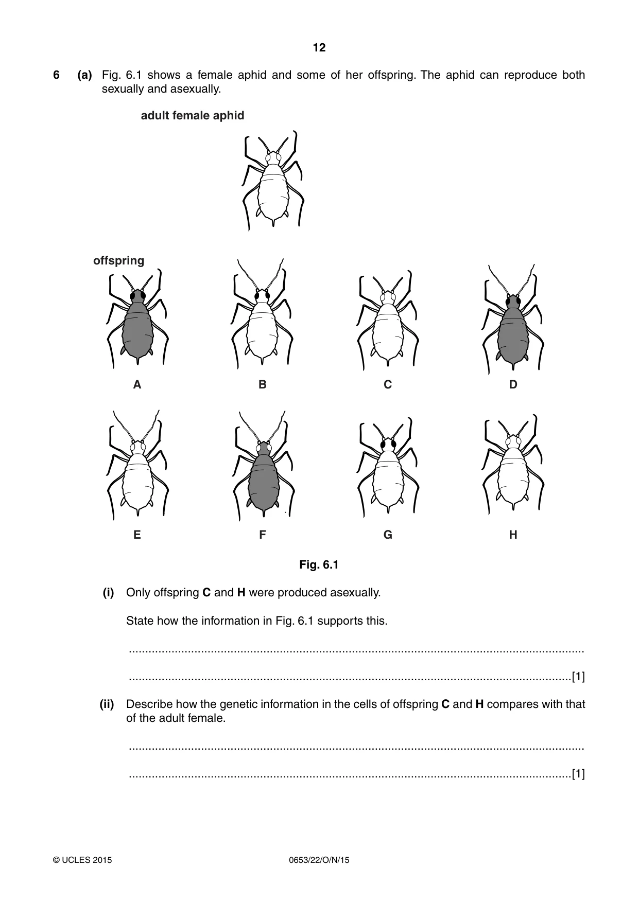 Cambridge IGCSE Science - Combined 0653 2015 Oct/Nov Paper 2 · Variant 2 question paper, page 12 of 24