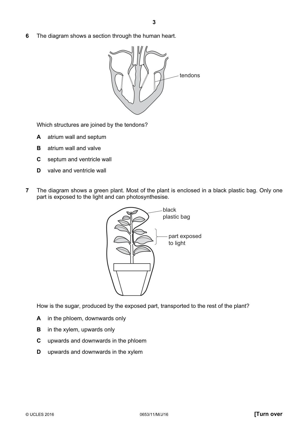 Cambridge IGCSE Science - Combined 0653 2016 May/June Paper 1 · Variant 1 question paper, page 3 of 16