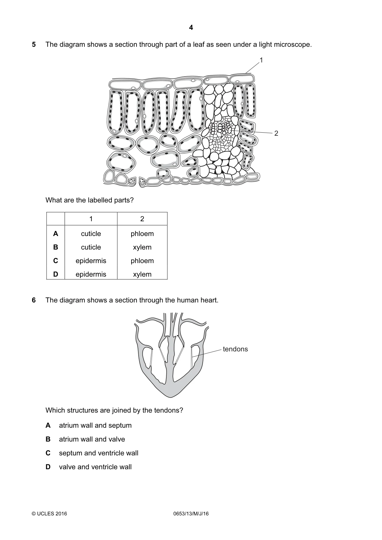 Cambridge IGCSE Science - Combined 0653 2016 May/June Paper 1 · Variant 3 question paper, page 4 of 16