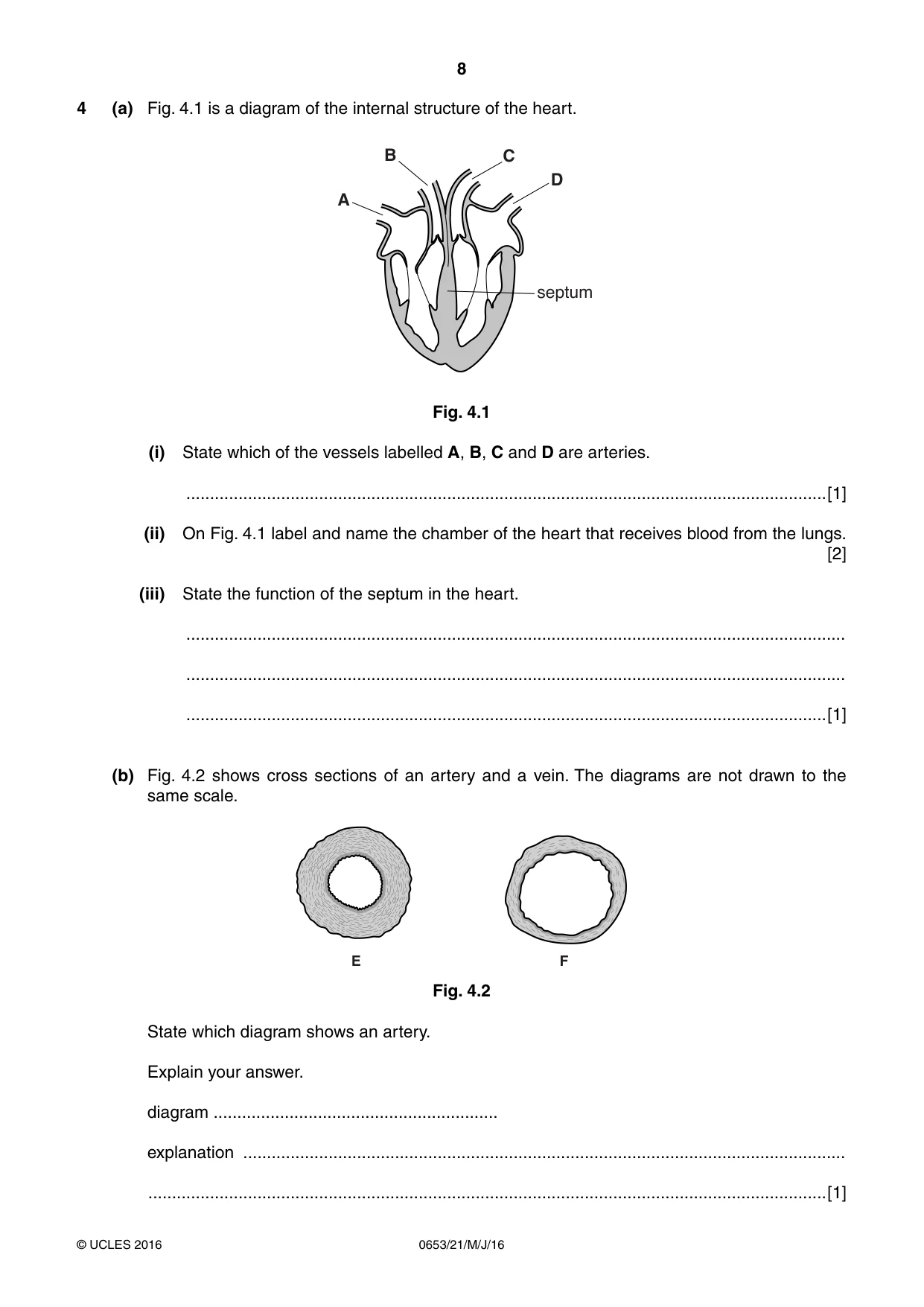 Cambridge IGCSE Science - Combined 0653 2016 May/June Paper 2 · Variant 1 question paper, page 8 of 20