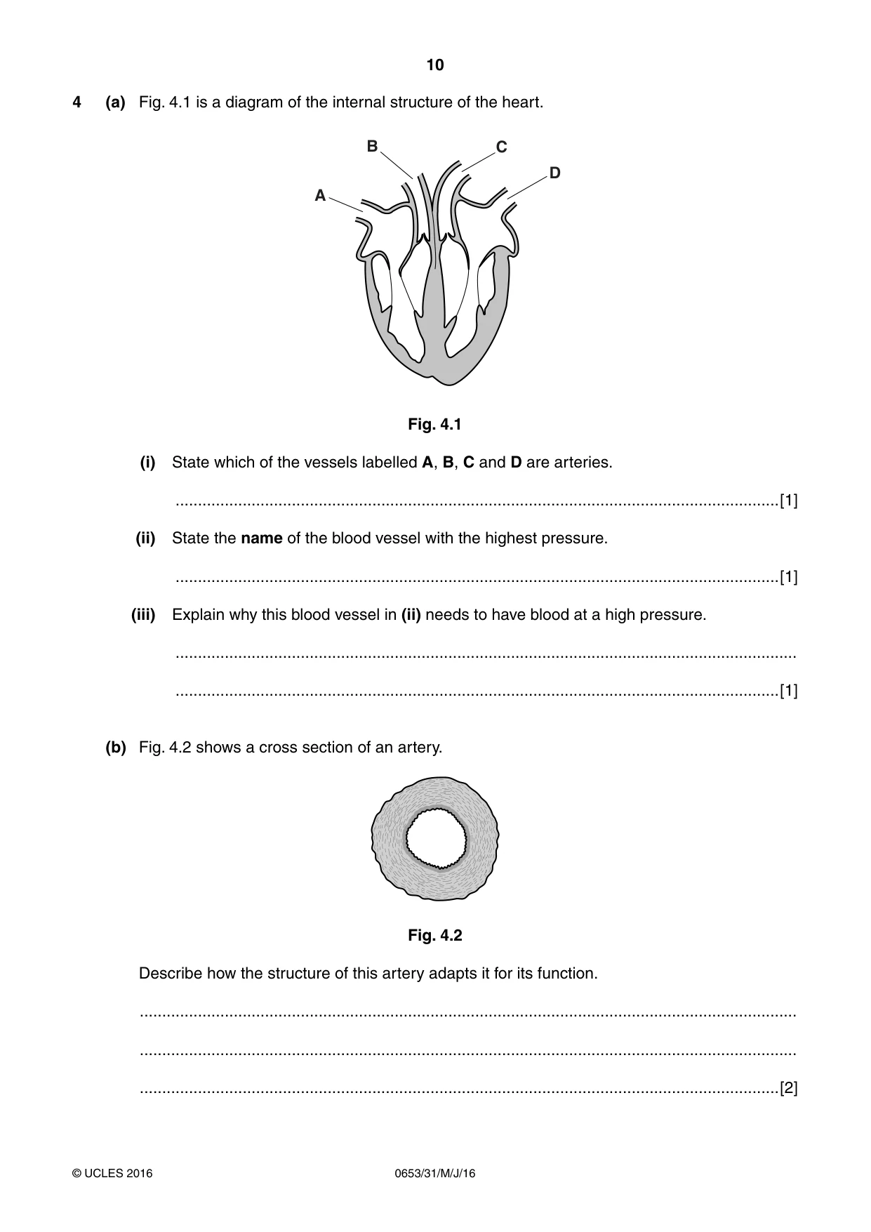 Cambridge IGCSE Science - Combined 0653 2016 May/June Paper 3 · Variant 1 question paper, page 10 of 20