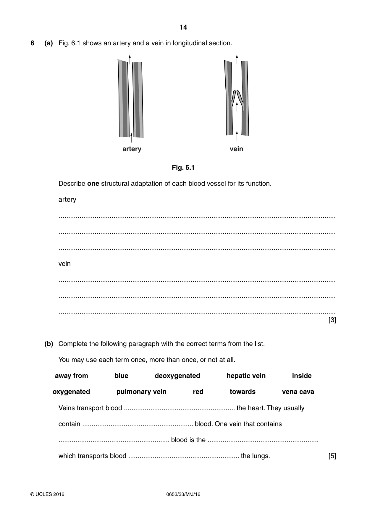 Cambridge IGCSE Science - Combined 0653 2016 May/June Paper 3 · Variant 3 question paper, page 14 of 20