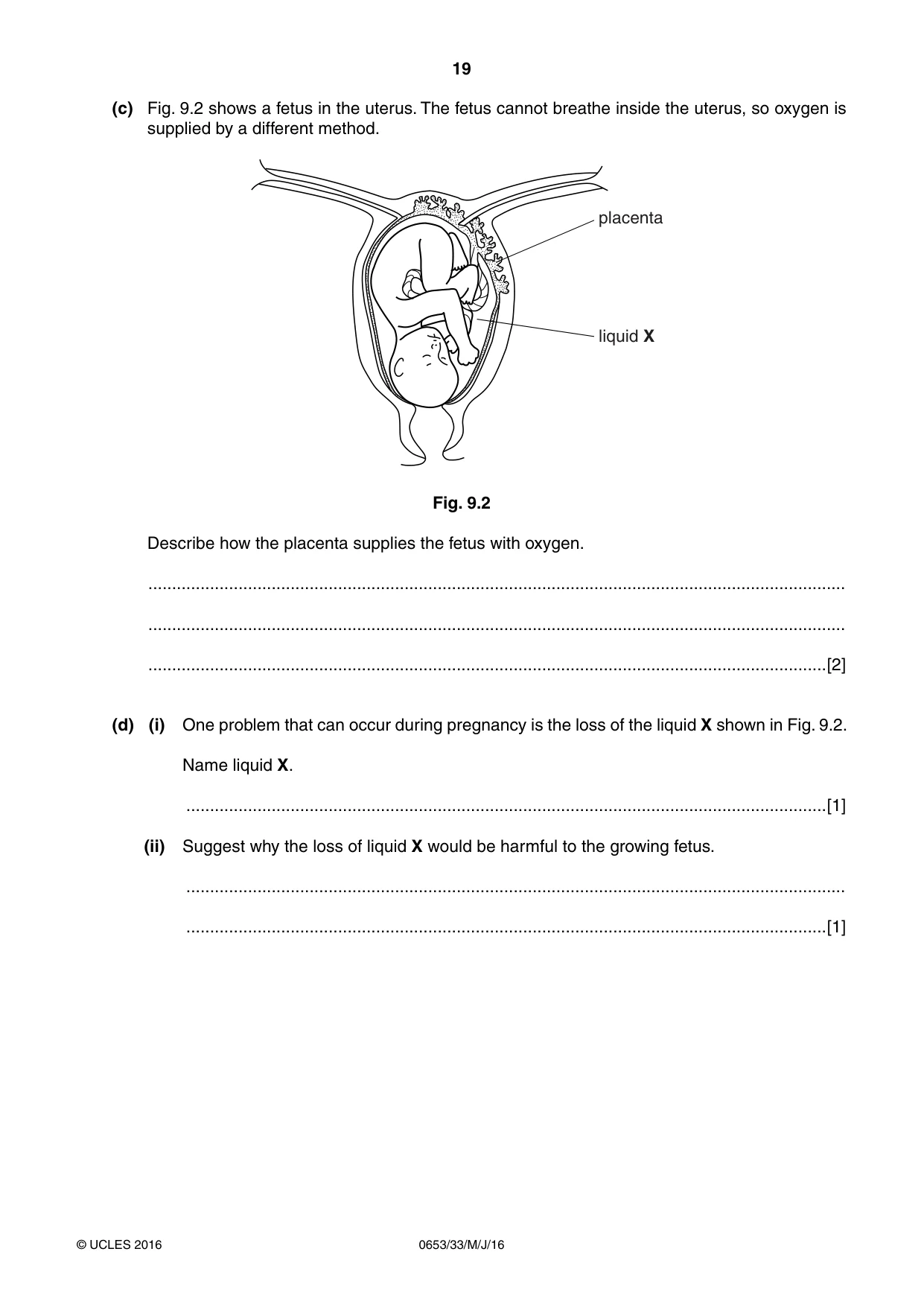 Cambridge IGCSE Science - Combined 0653 2016 May/June Paper 3 · Variant 3 question paper, page 19 of 20