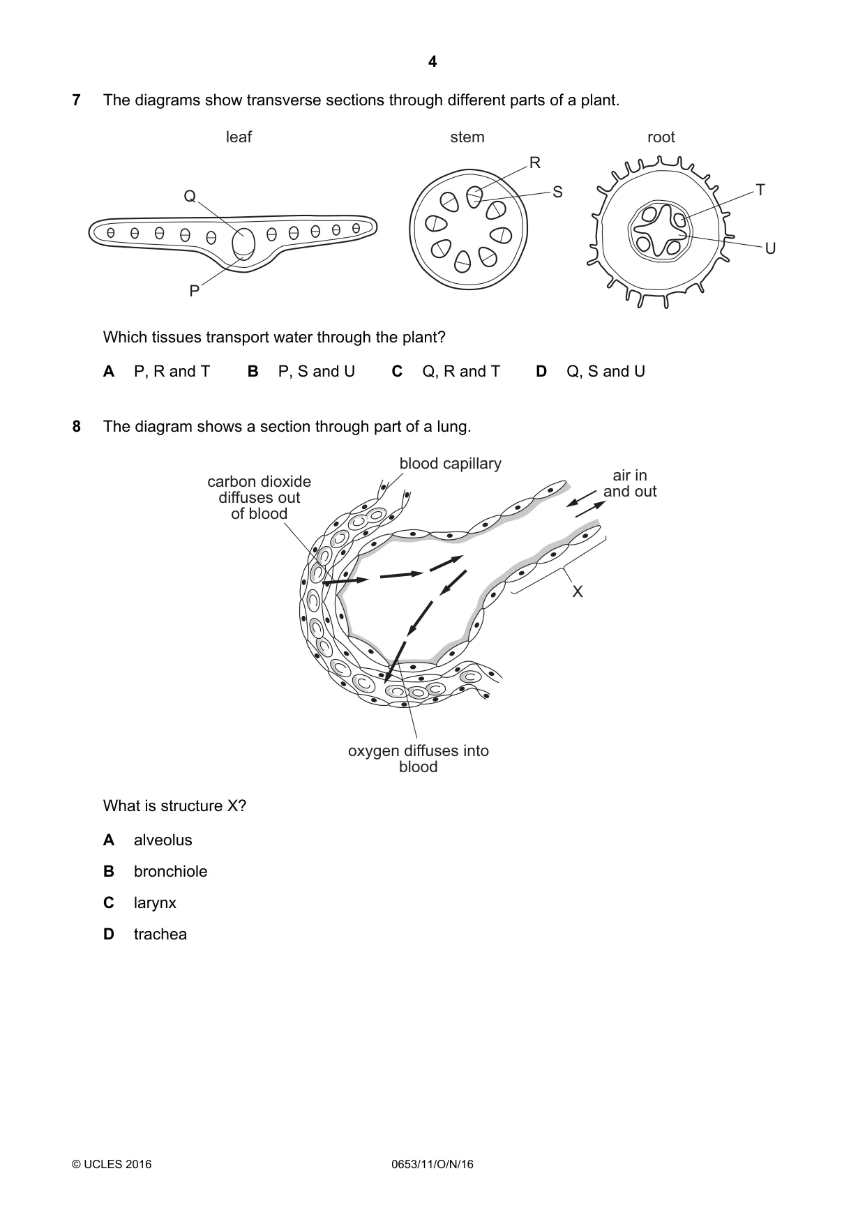 Cambridge IGCSE Science - Combined 0653 2016 Oct/Nov Paper 1 · Variant 1 question paper, page 4 of 20