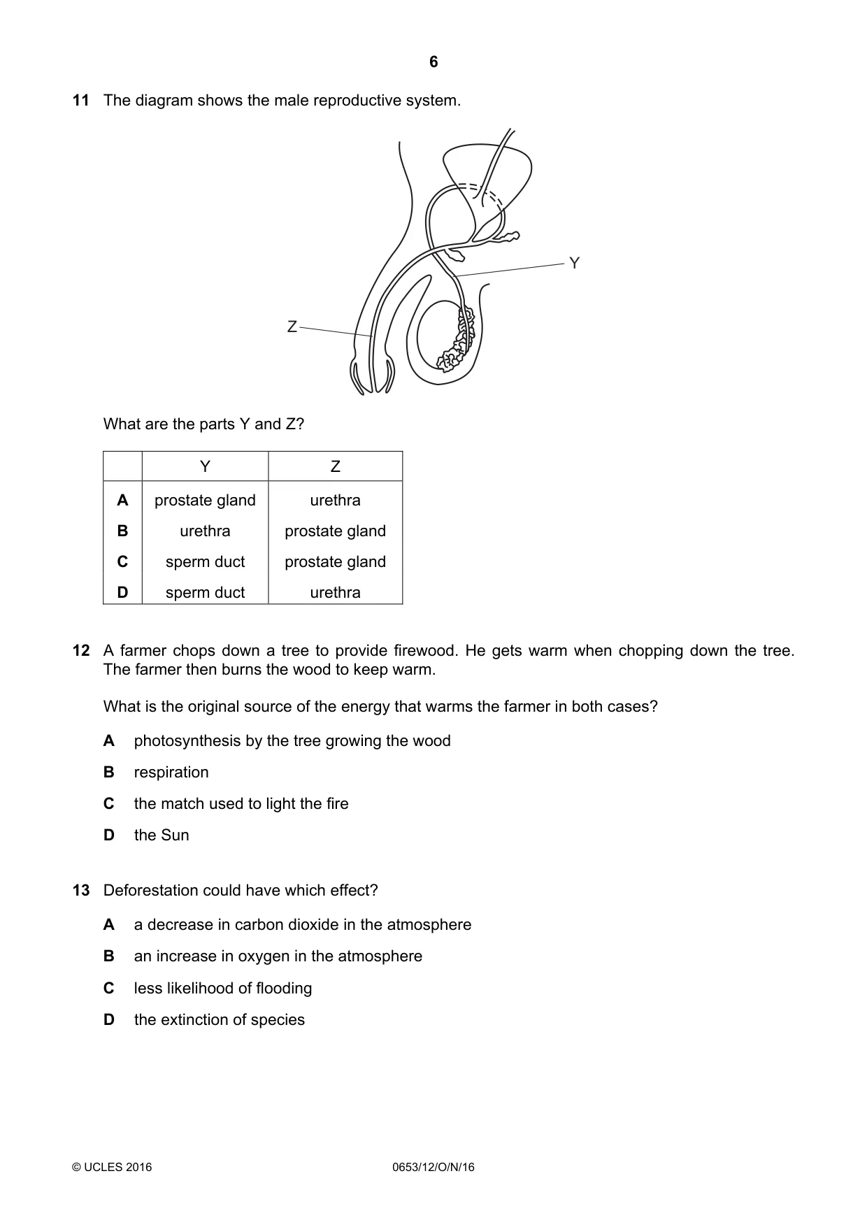 Cambridge IGCSE Science - Combined 0653 2016 Oct/Nov Paper 1 · Variant 2 question paper, page 6 of 20