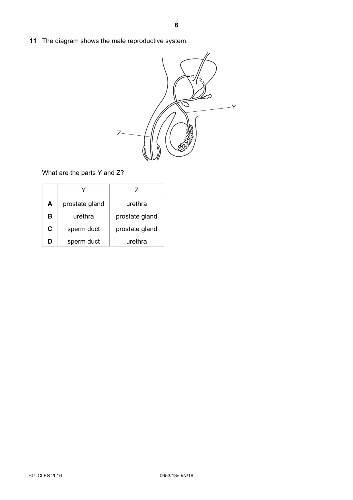 Cambridge IGCSE Science - Combined 0653 2016 Oct/Nov Paper 1 · Variant 3 question paper, page 6 of 20