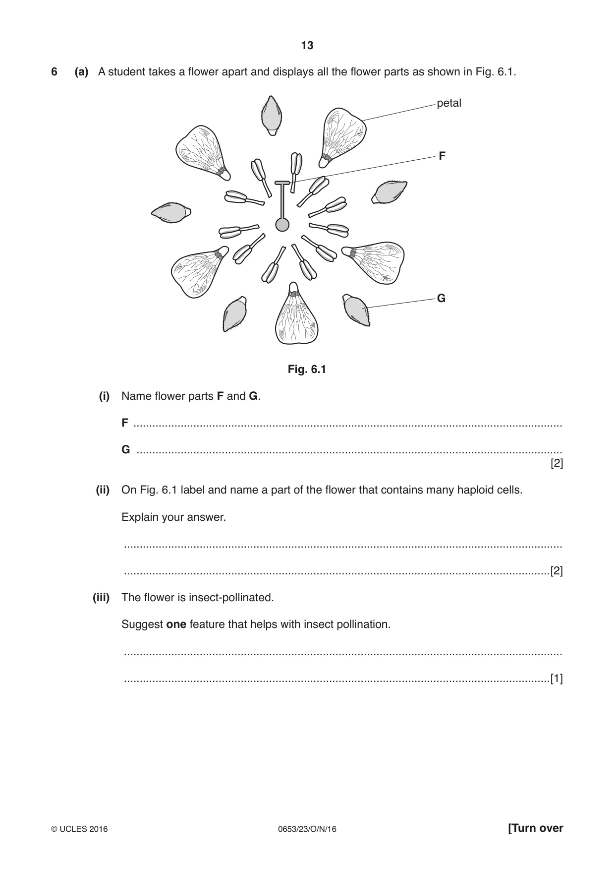 Cambridge IGCSE Science - Combined 0653 2016 Oct/Nov Paper 2 · Variant 3 question paper, page 13 of 20