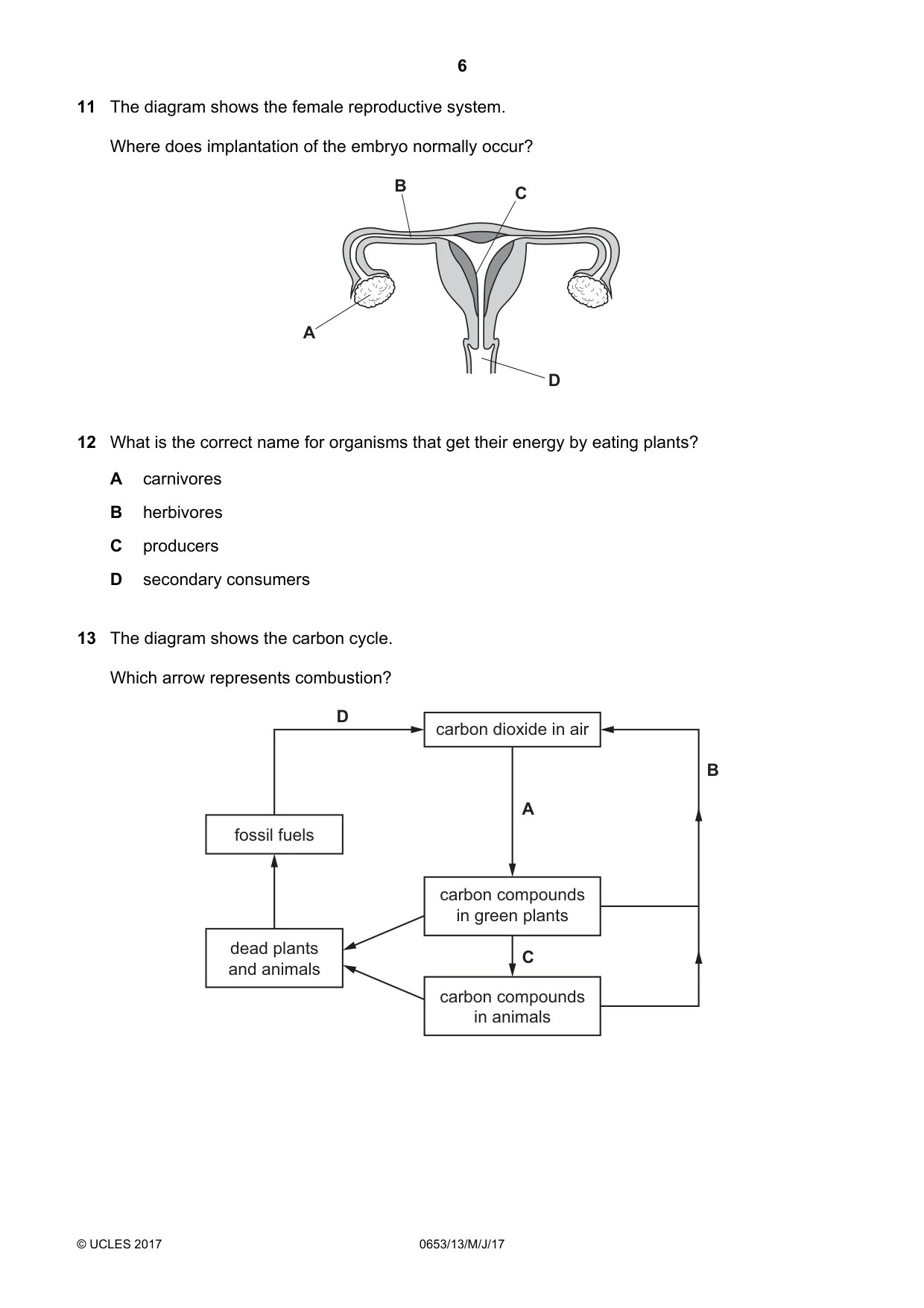 Cambridge IGCSE Science - Combined 0653 2017 May/June Paper 1 · Variant 3 question paper, page 6 of 20