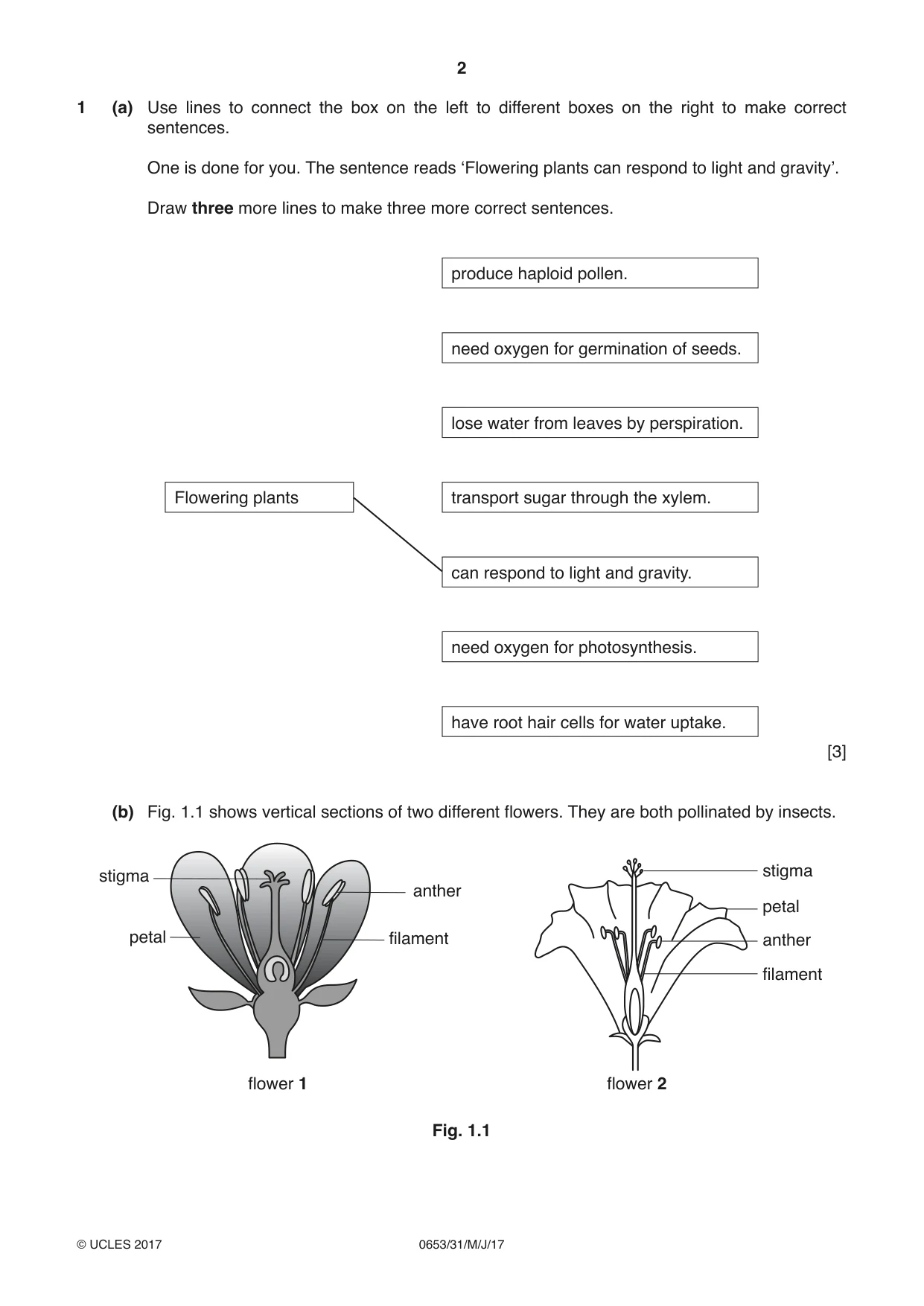 Cambridge IGCSE Science - Combined 0653 2017 May/June Paper 3 · Variant 1 question paper, page 2 of 20