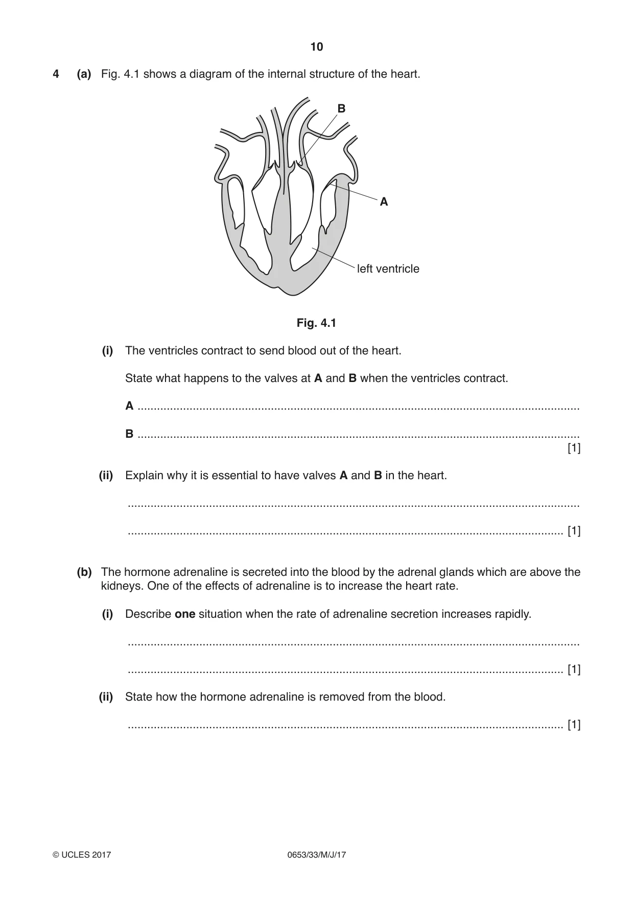 Cambridge IGCSE Science - Combined 0653 2017 May/June Paper 3 · Variant 3 question paper, page 10 of 24