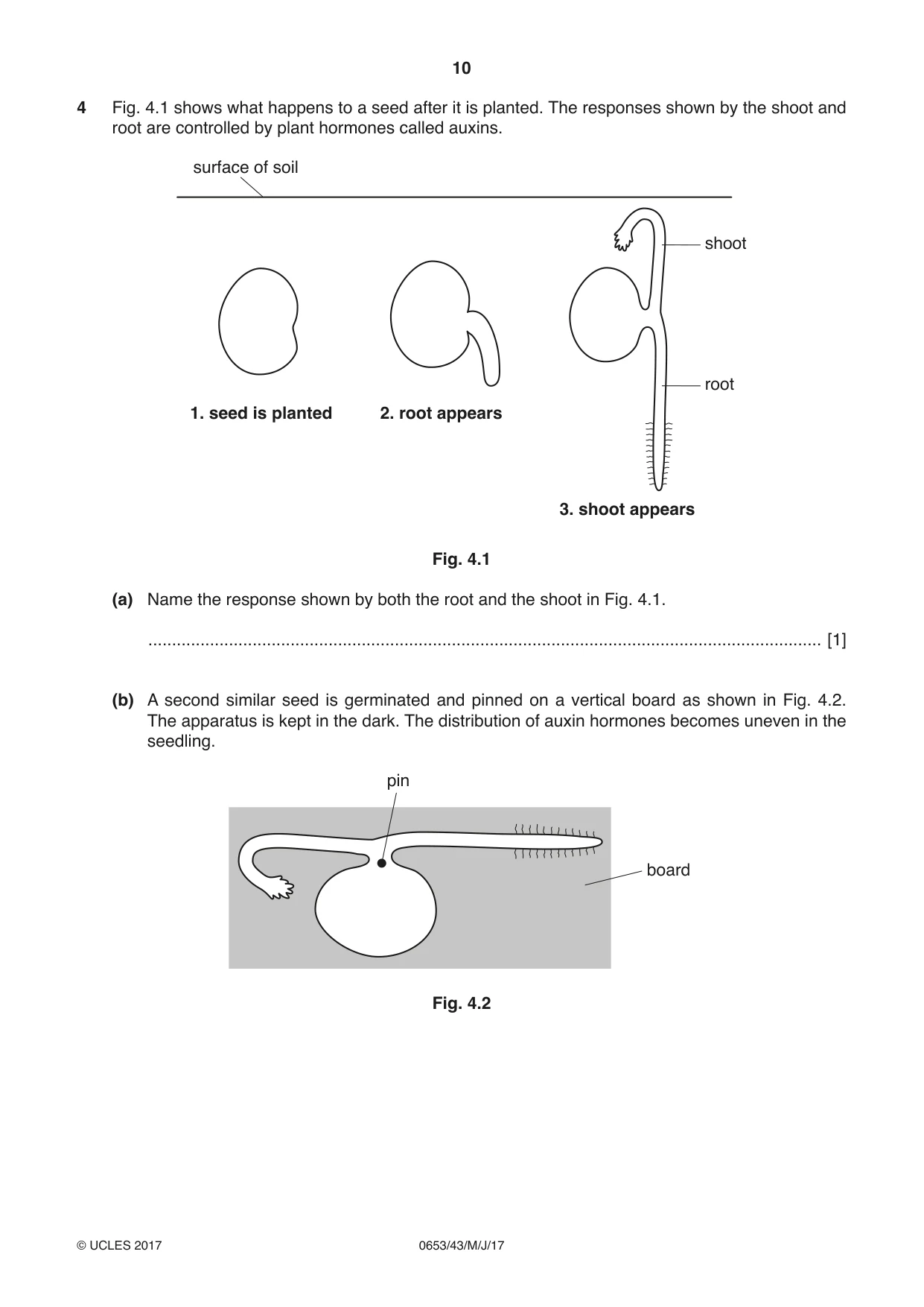 Cambridge IGCSE Science - Combined 0653 2017 May/June Paper 4 · Variant 3 question paper, page 10 of 24