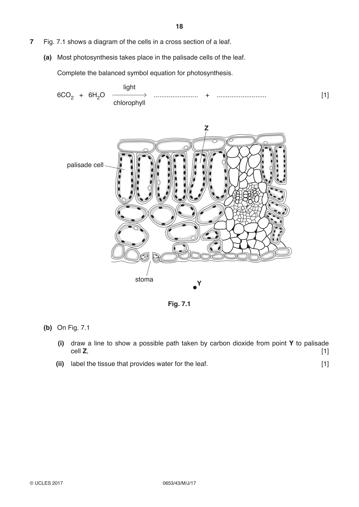 Cambridge IGCSE Science - Combined 0653 2017 May/June Paper 4 · Variant 3 question paper, page 18 of 24