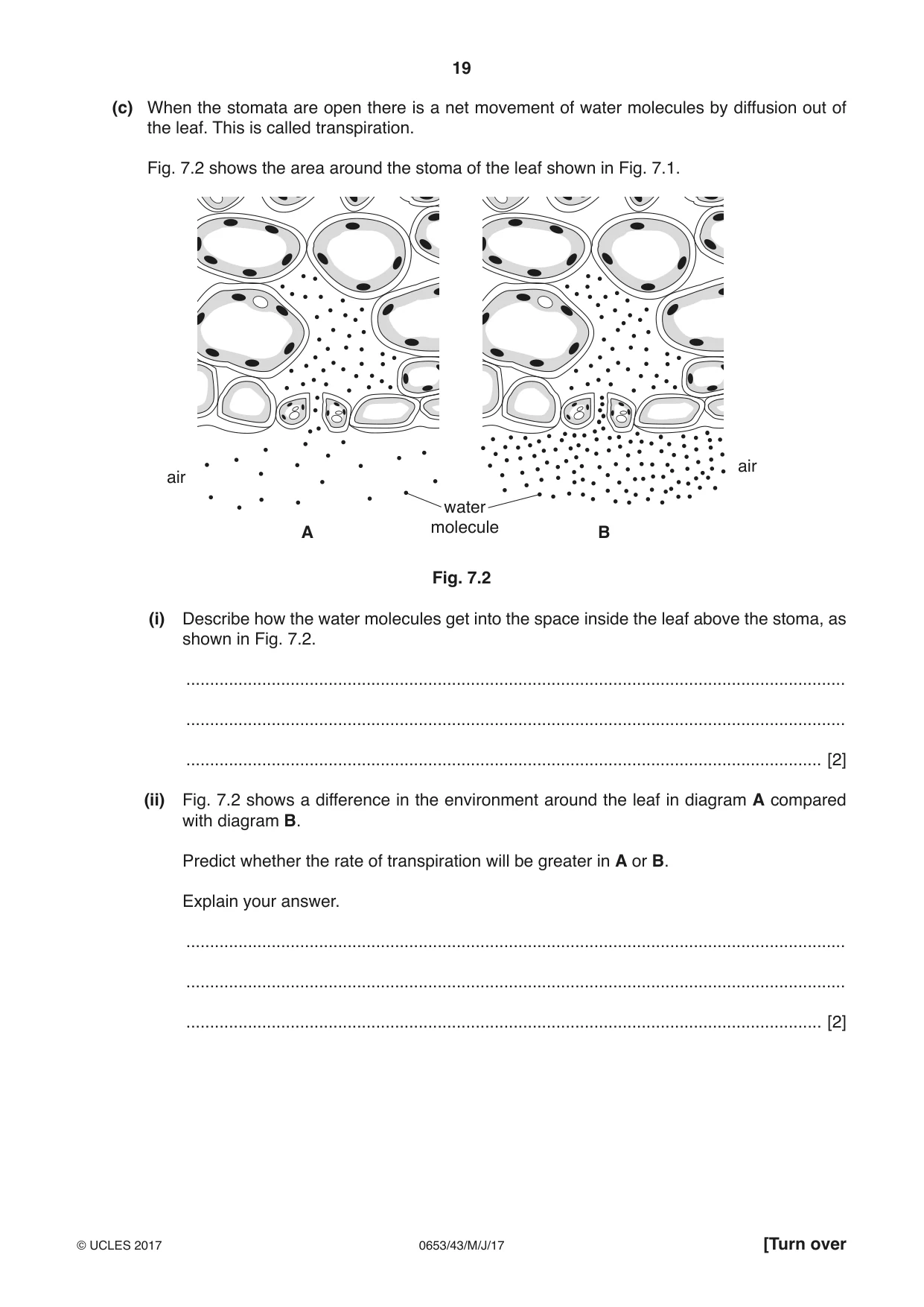 Cambridge IGCSE Science - Combined 0653 2017 May/June Paper 4 · Variant 3 question paper, page 19 of 24