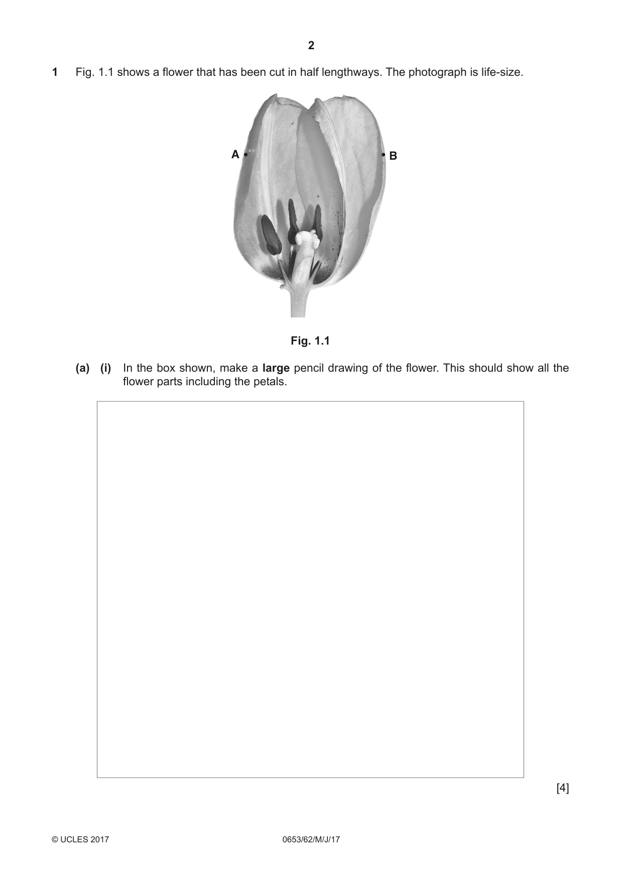 Cambridge IGCSE Science - Combined 0653 2017 May/June Paper 6 · Variant 2 question paper, page 2 of 20