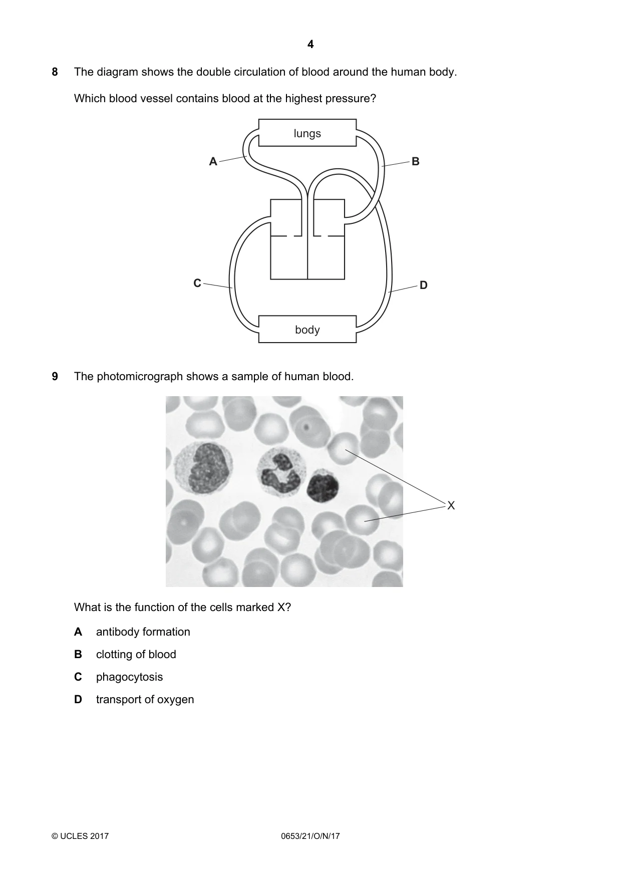 Cambridge IGCSE Science - Combined 0653 2017 Oct/Nov Paper 2 · Variant 1 question paper, page 4 of 16