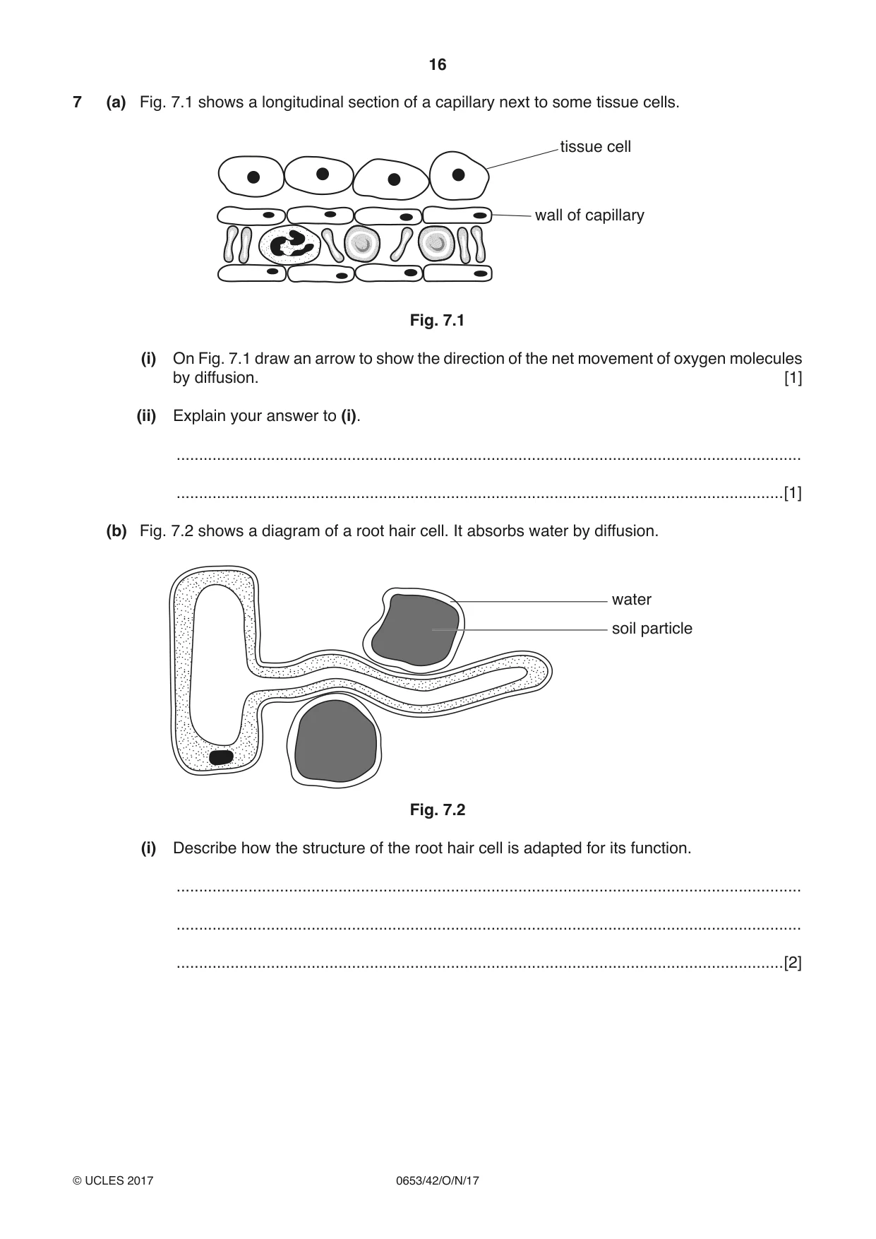 Cambridge IGCSE Science - Combined 0653 2017 Oct/Nov Paper 4 · Variant 2 question paper, page 16 of 24