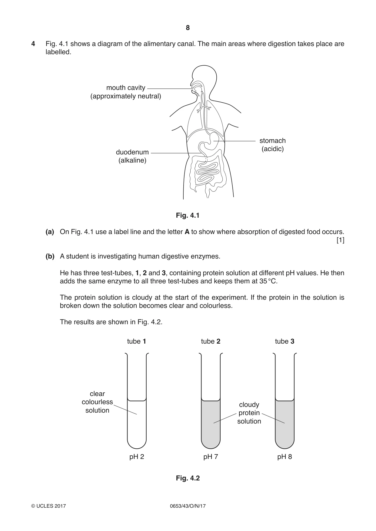 Cambridge IGCSE Science - Combined 0653 2017 Oct/Nov Paper 4 · Variant 3 question paper, page 8 of 24