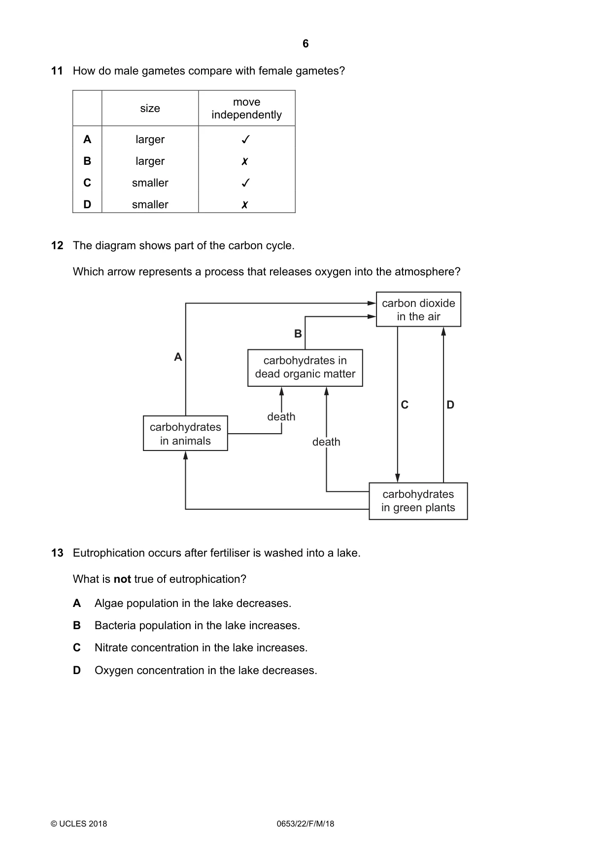 Cambridge IGCSE Science - Combined 0653 2018 Feb/March Paper 2 · Variant 2 question paper, page 6 of 16