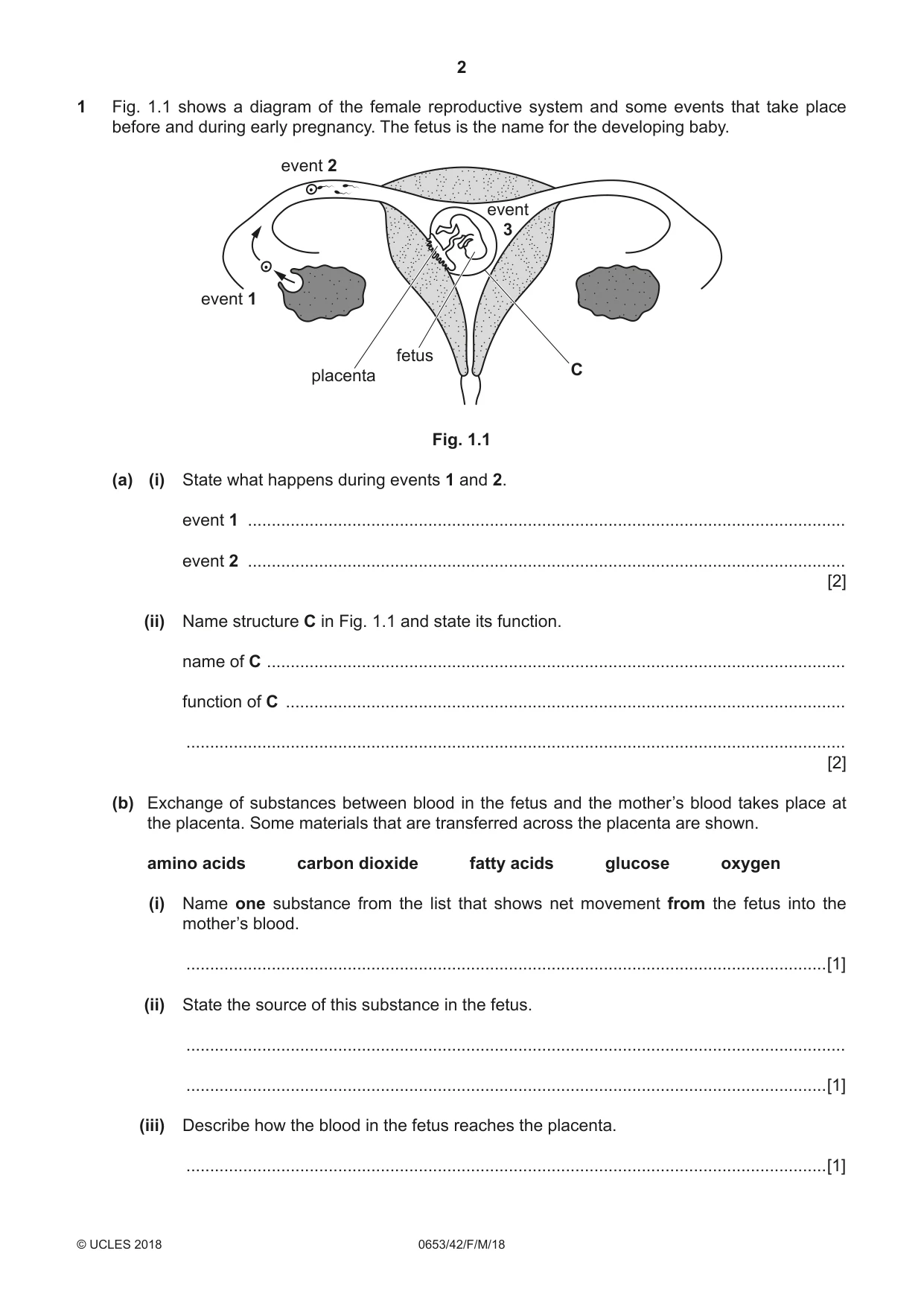 Cambridge IGCSE Science - Combined 0653 2018 Feb/March Paper 4 · Variant 2 question paper, page 2 of 20